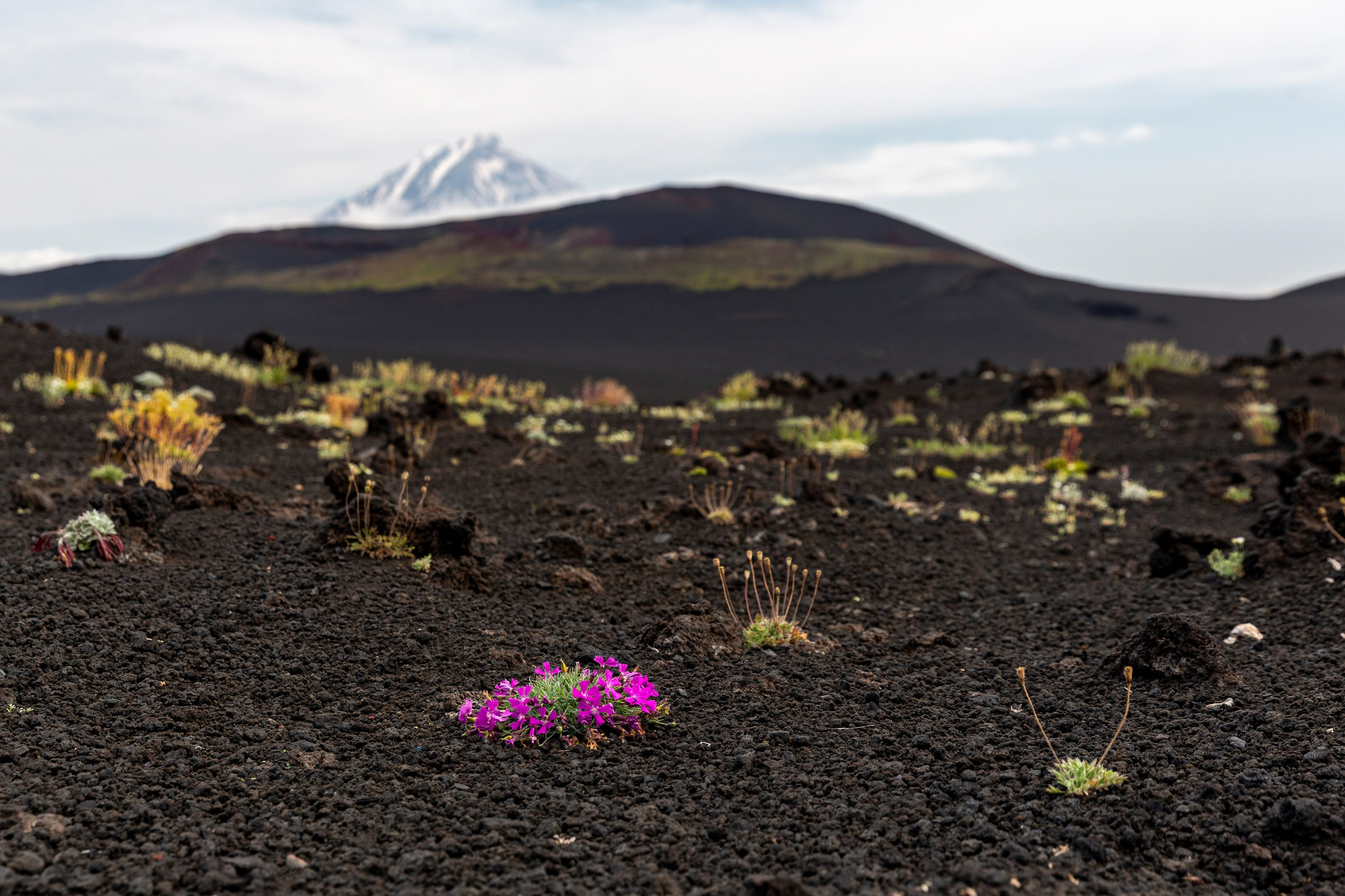 Вулкан Толбачик — история извержений, лава и марсианские пейзажи. Время Камчатки: чтобы найти свой путь, нужно скорость умножить на время