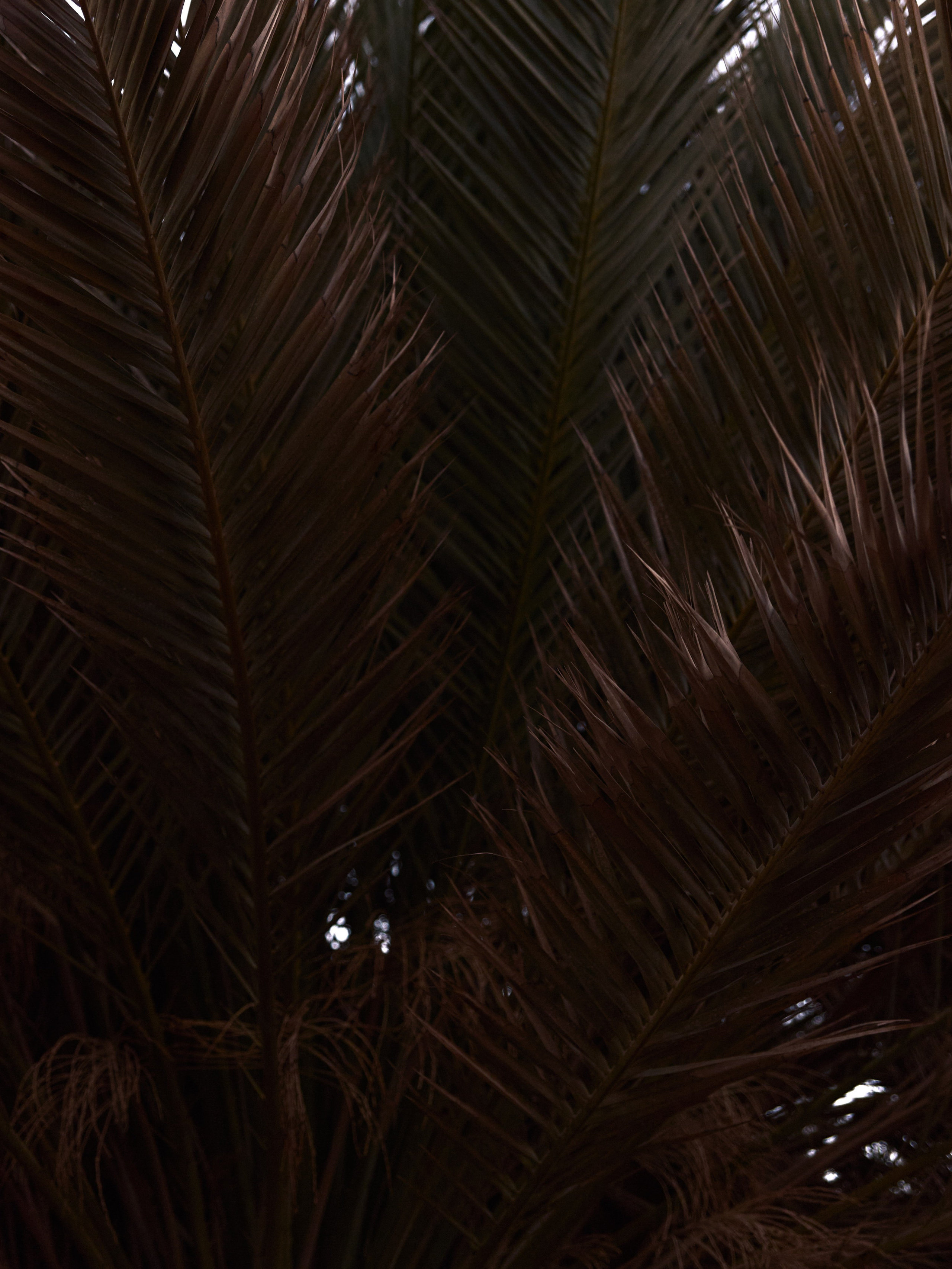 Диптих. Jorgis — фотограф в Хургаде / обучение фотографии