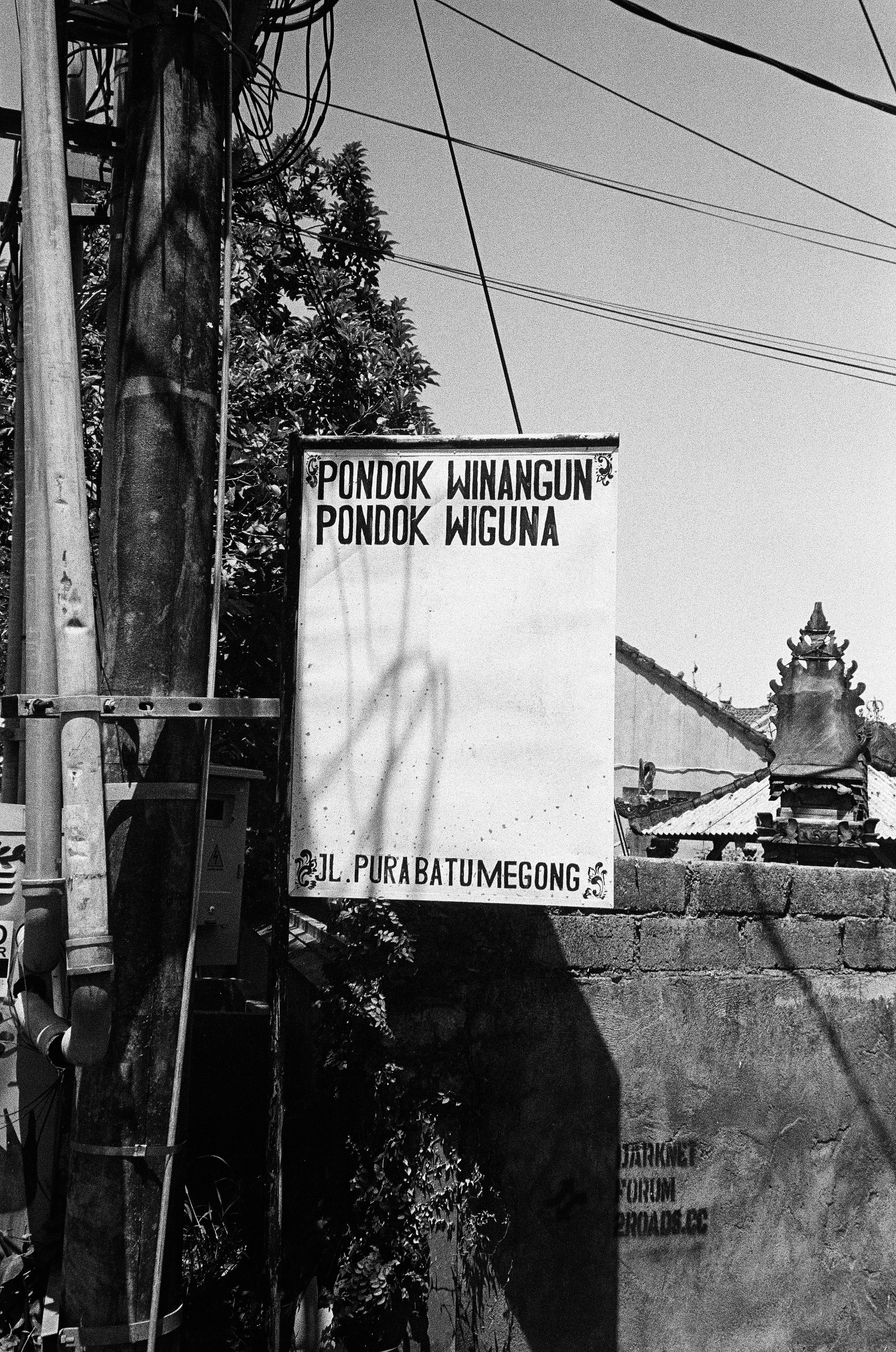 Who u are?. Carolinetru