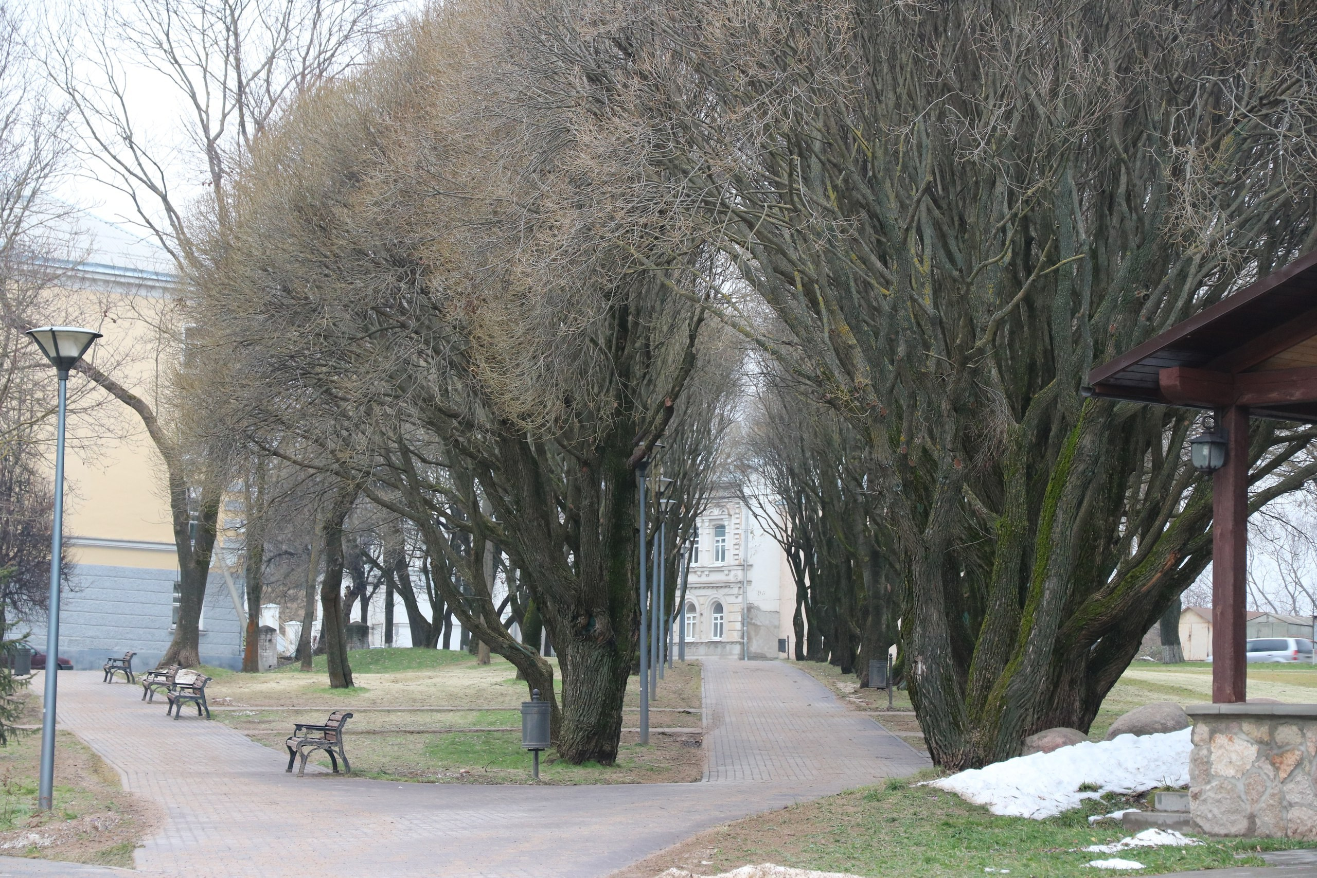 Псков | 18-20.11.2016. Галерея Фантим