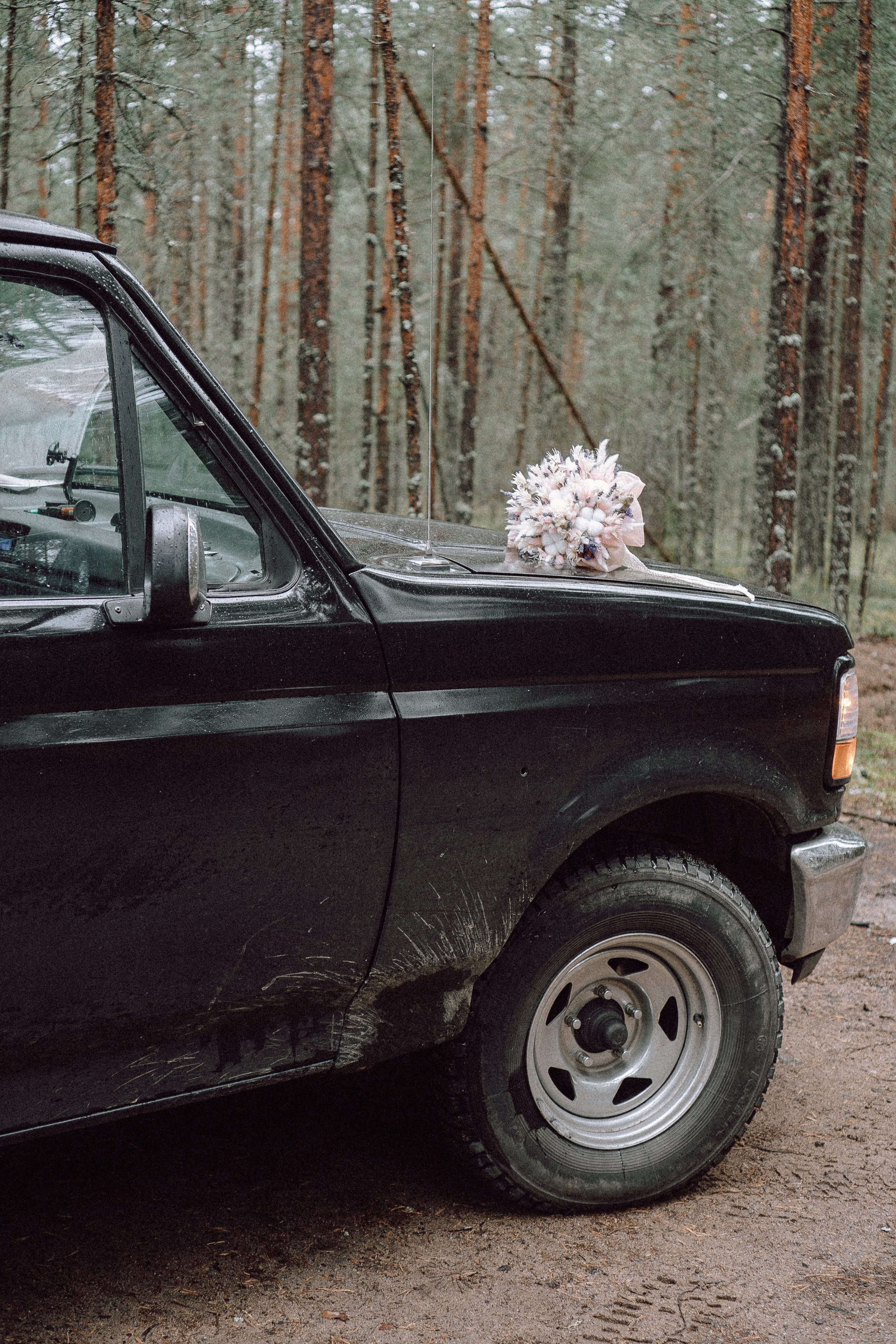 СВАДЕБНАЯ ФОТОСЕССИИЯ ПАРЫ В ГОРОДЕ ПРИОЗЕРСК В СОСНОВОМ ЛЕСУ И С ПИКАПОМ. Профессиональный фотограф, Санкт-Петербург — Виктория Богомолова