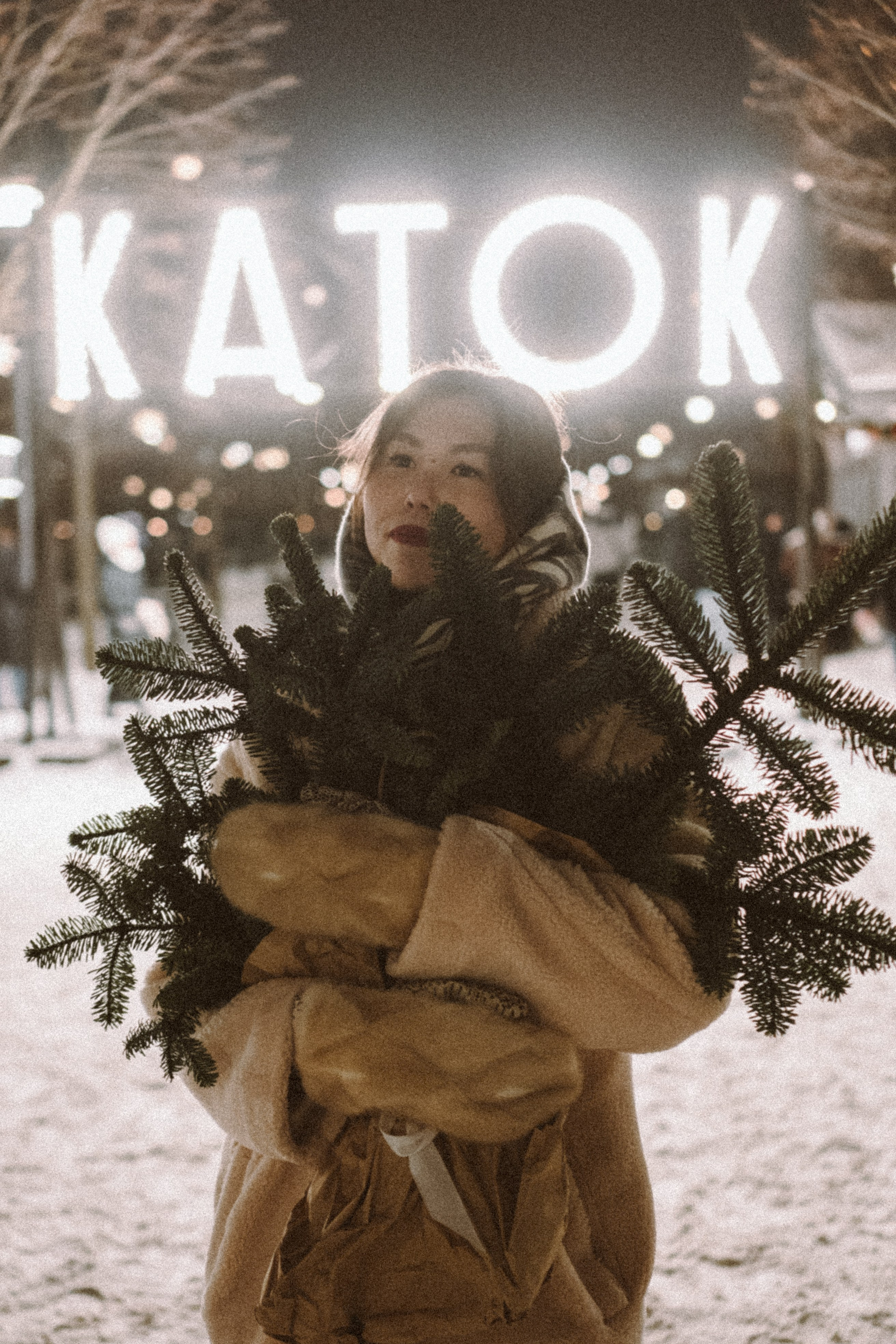 Зимняя сказка в Новой Голандии. Профессиональный фотограф, Санкт-Петербург — Виктория Богомолова