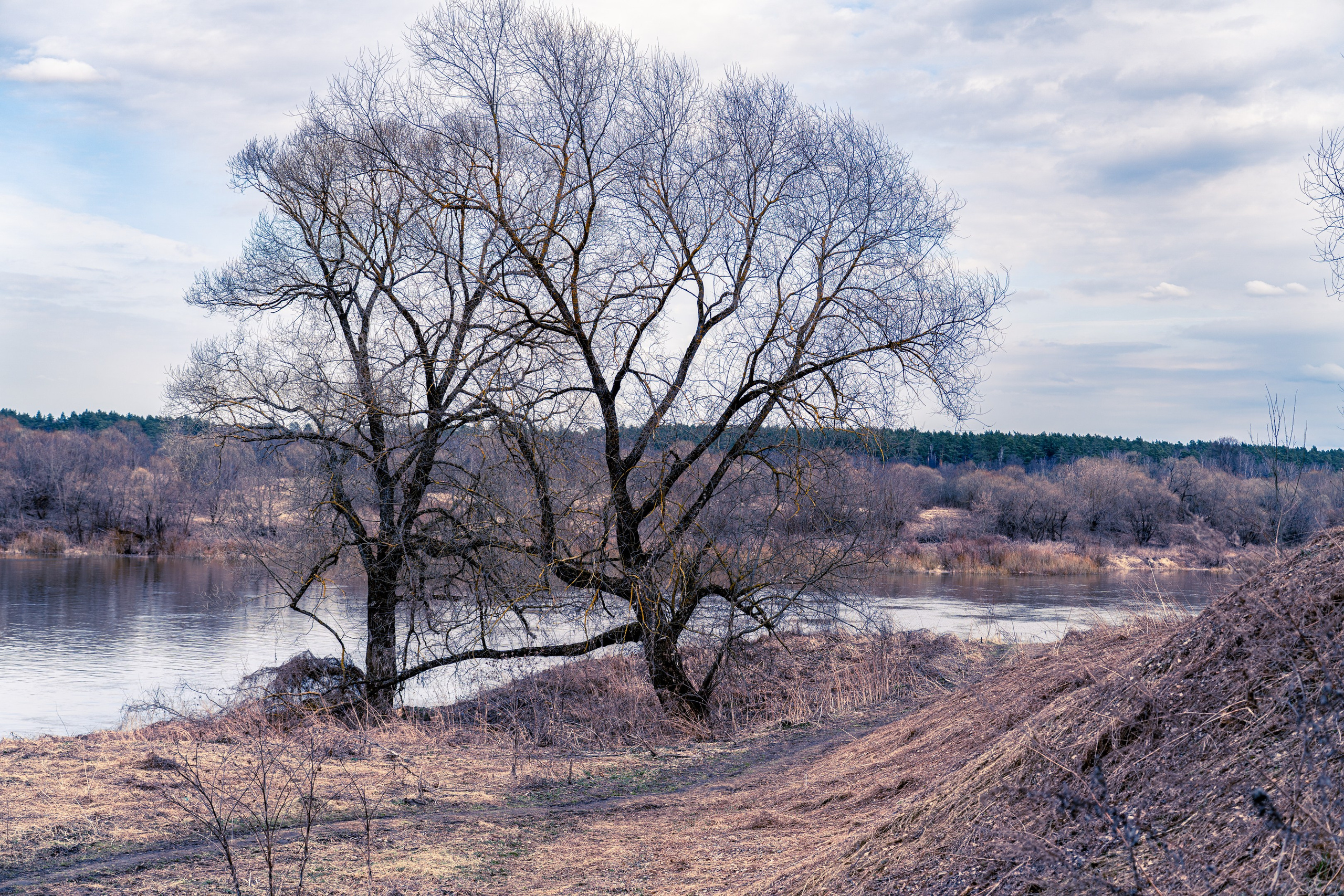 Таруса. ПОБУДЬ ЗДЕСЬ И ЦЕЛЕЕ БУДЕТ ЭТОТ МИР