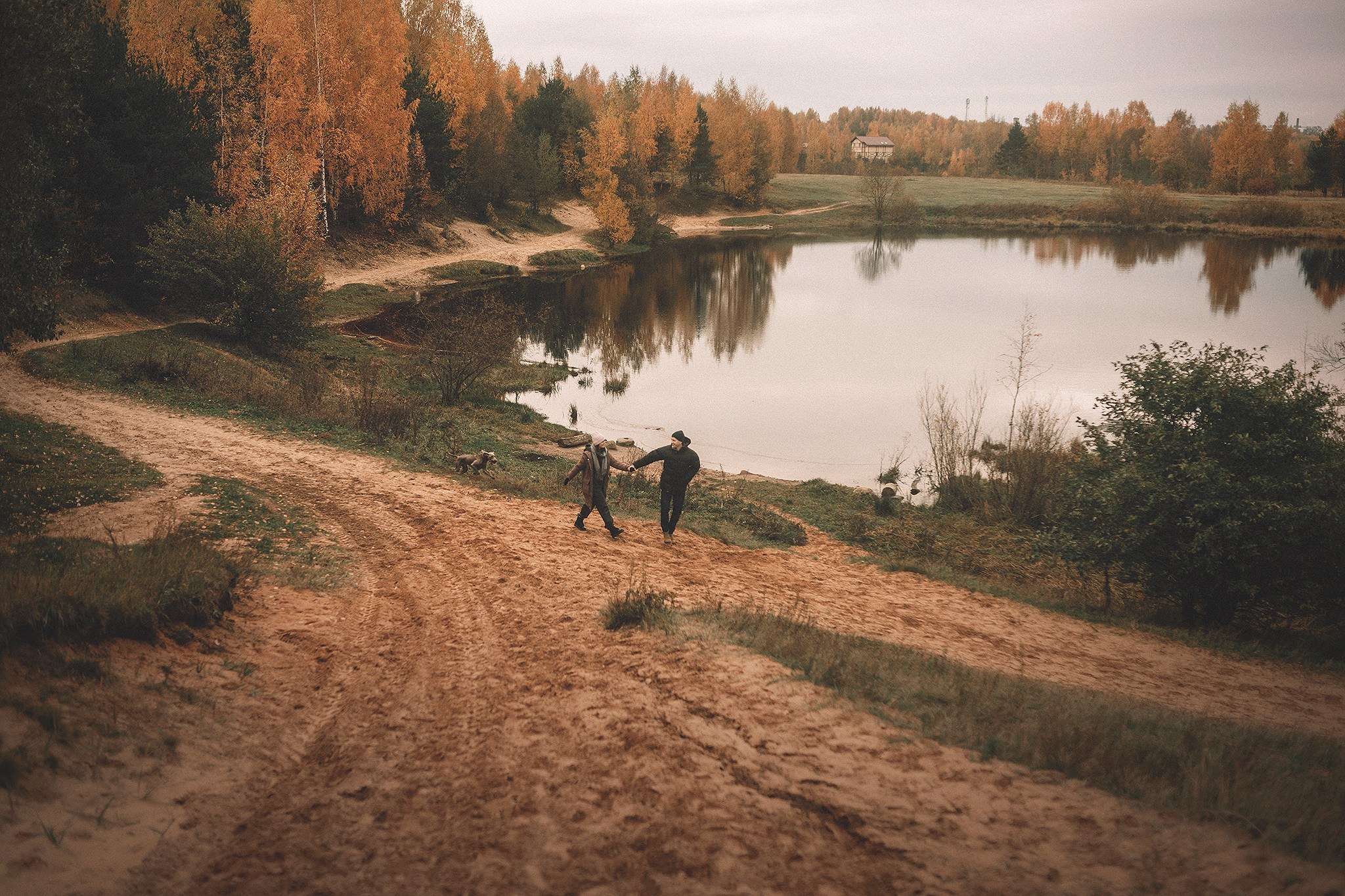 Элай и ребята. Фотограф-анималист • love-story • Санкт-Петербург