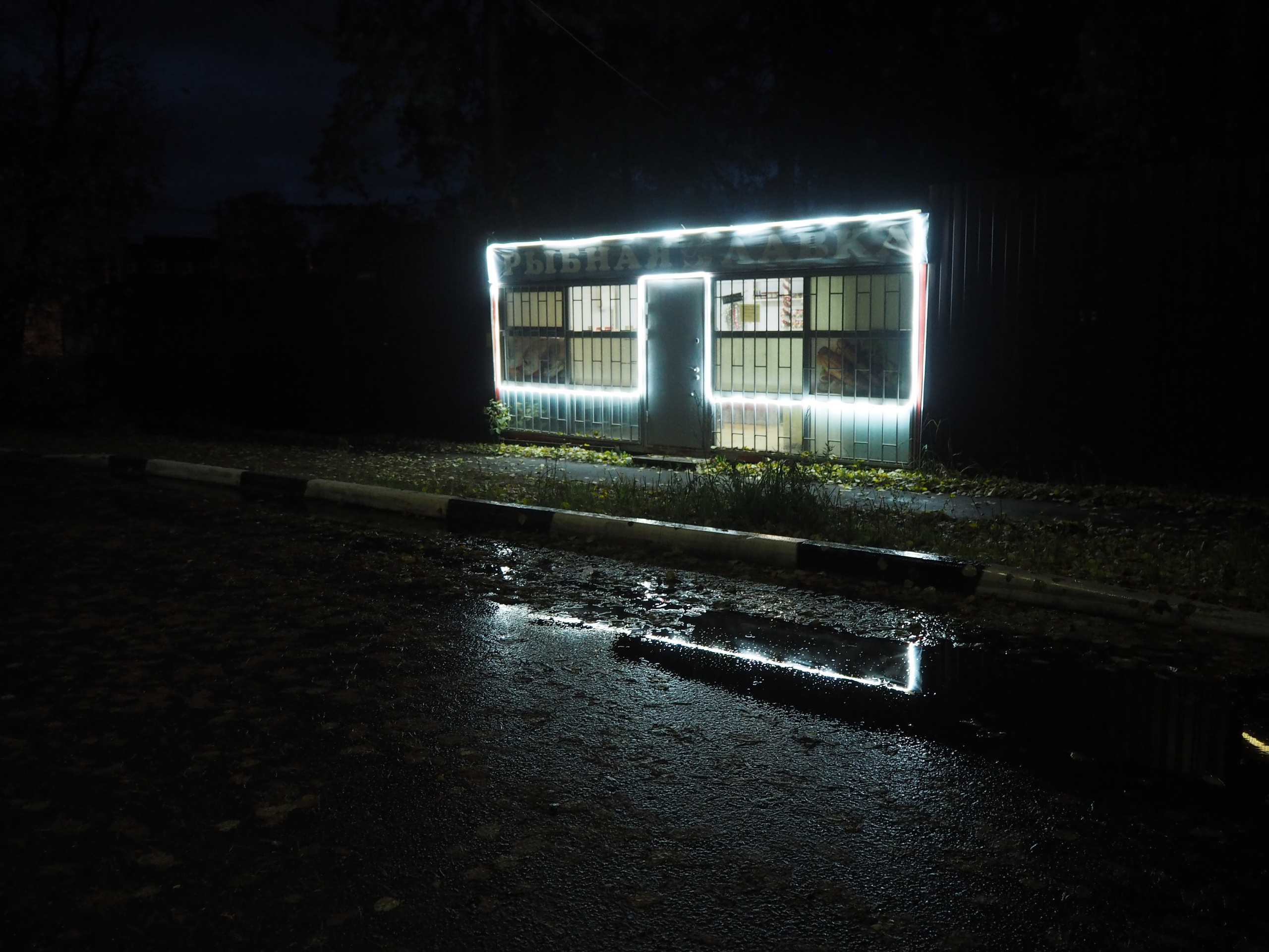 Из сердца лесополосы. Настя Арзуманова, фотограф