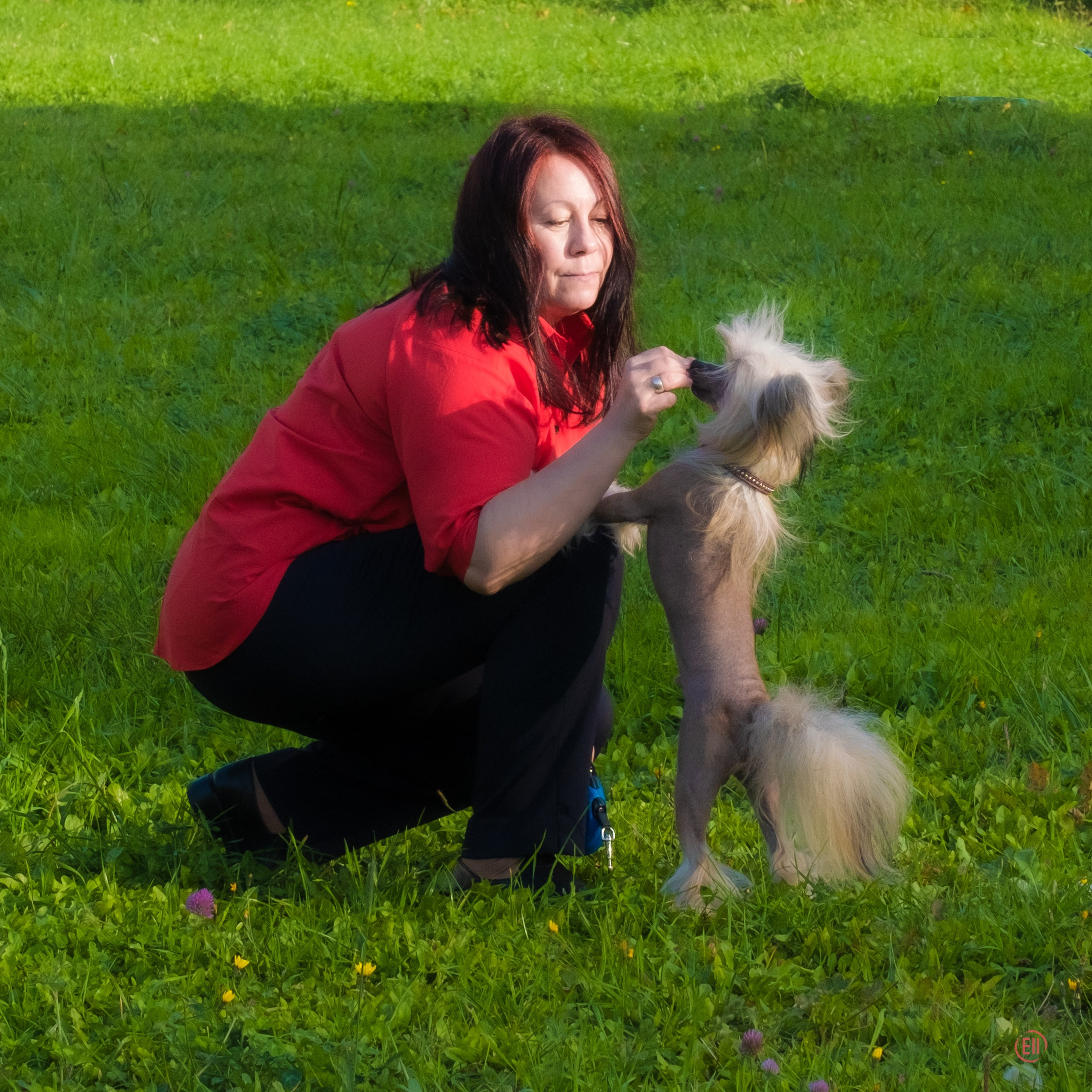 Друг человека. Фотограф в Москве