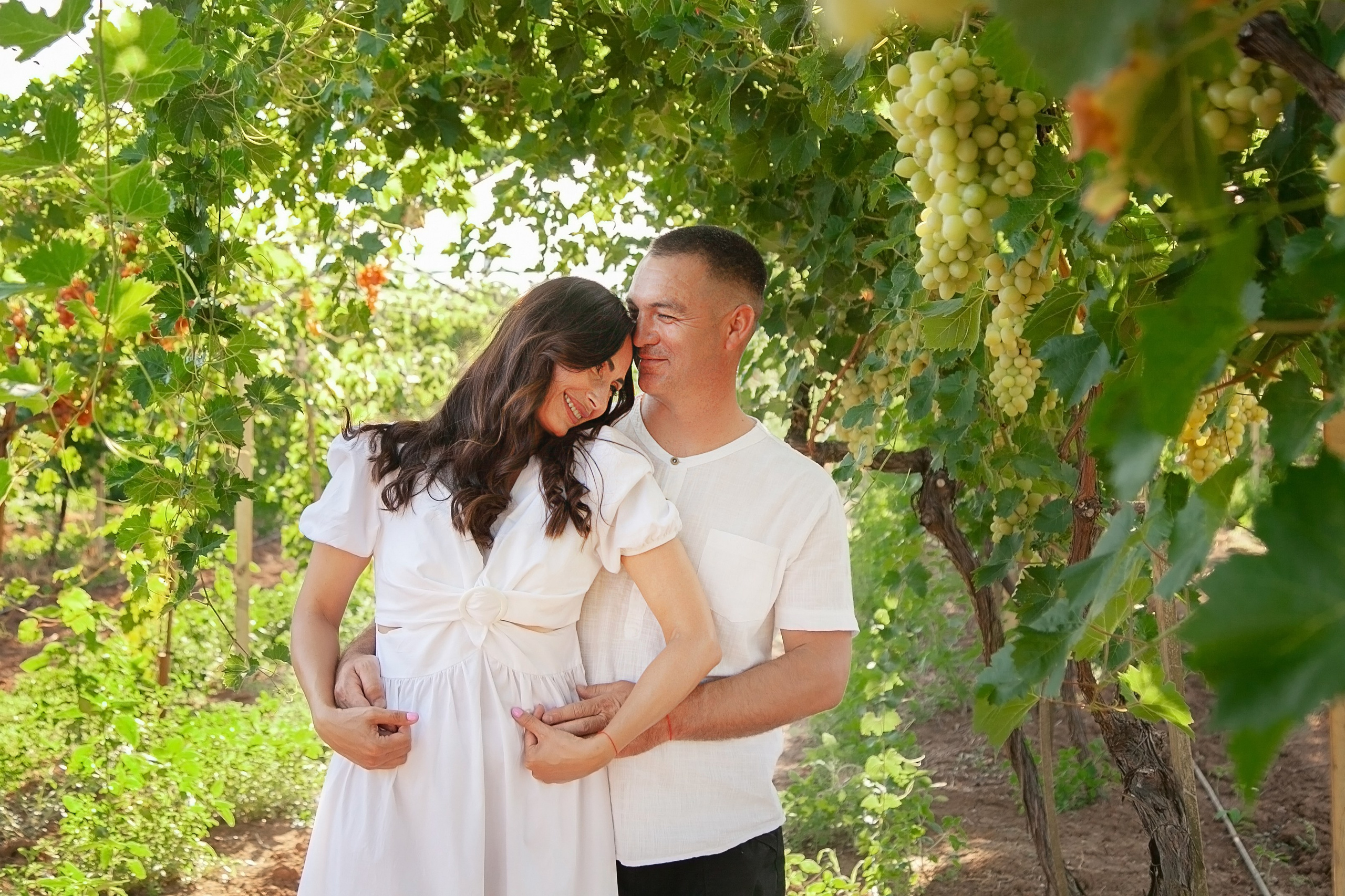 ВИНОГРАДНИКИ. Фотограф в Крыму