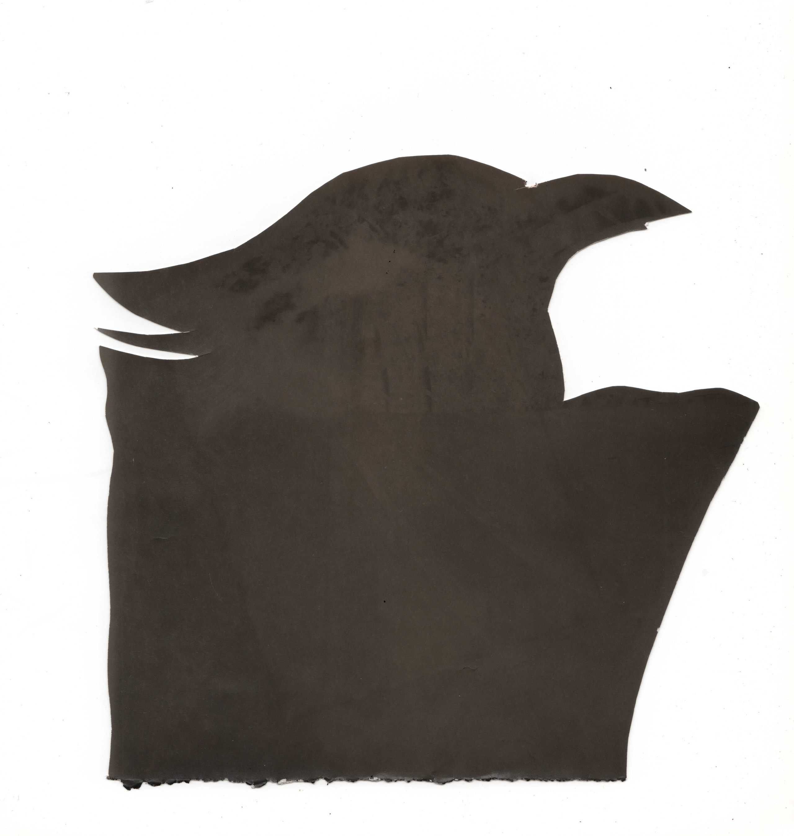 Фото-альтернатива. Данил Андреев, мультидисциплинарный художник, Санкт-Петербург