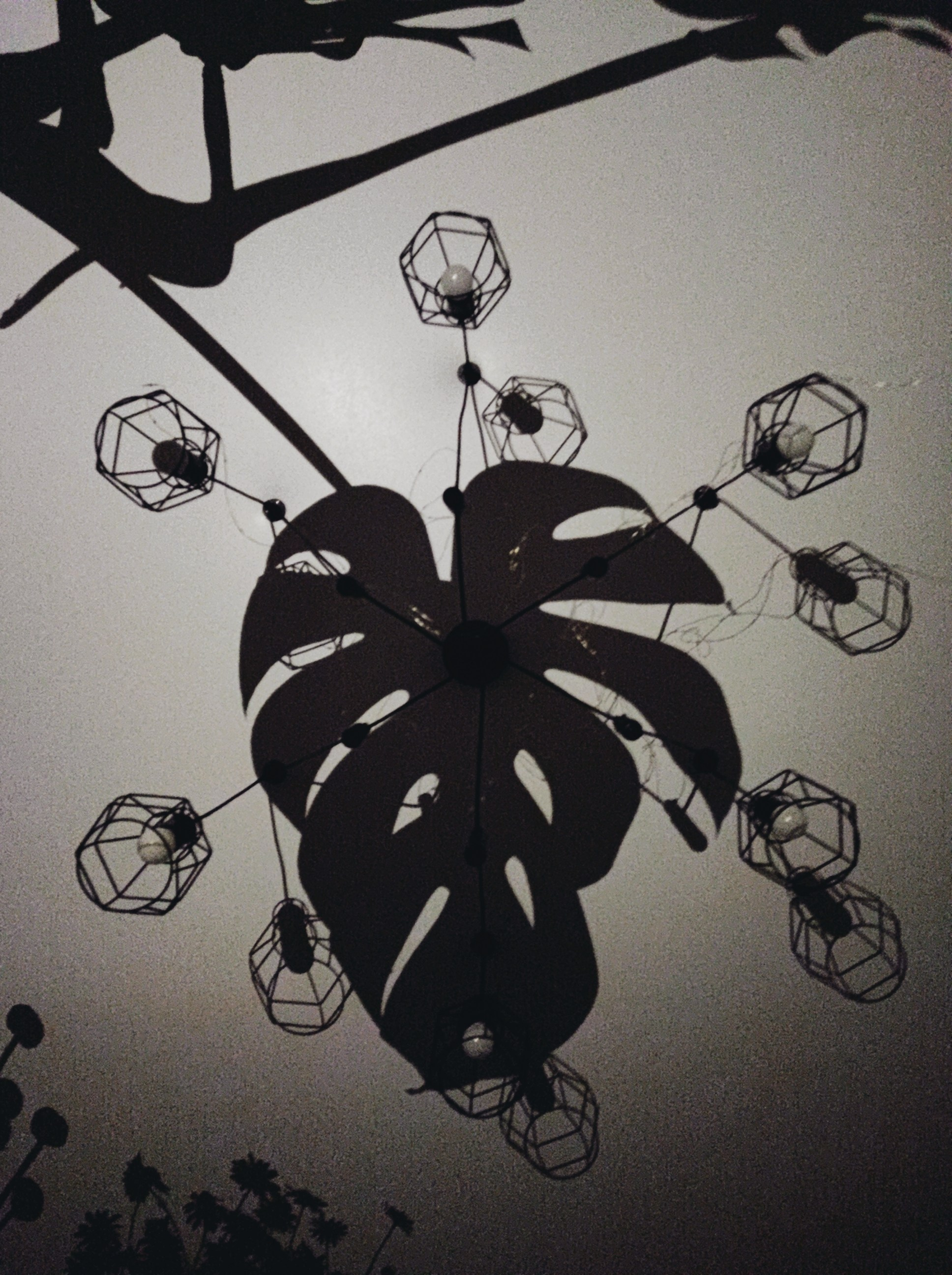 Намобилкус тульский. Репортажный фотограф Алексей Пирязев