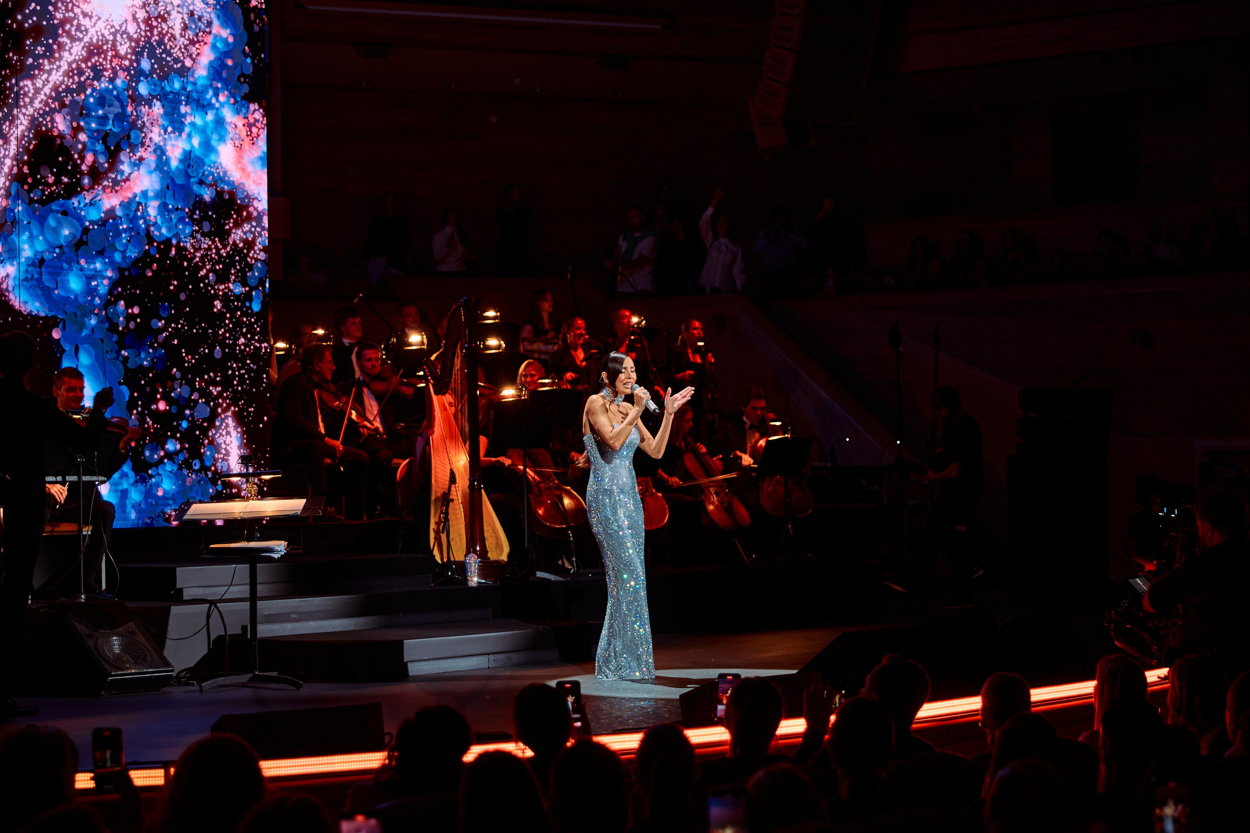 Concert. Репортажный фотограф, портретный фотограф  г. Москва