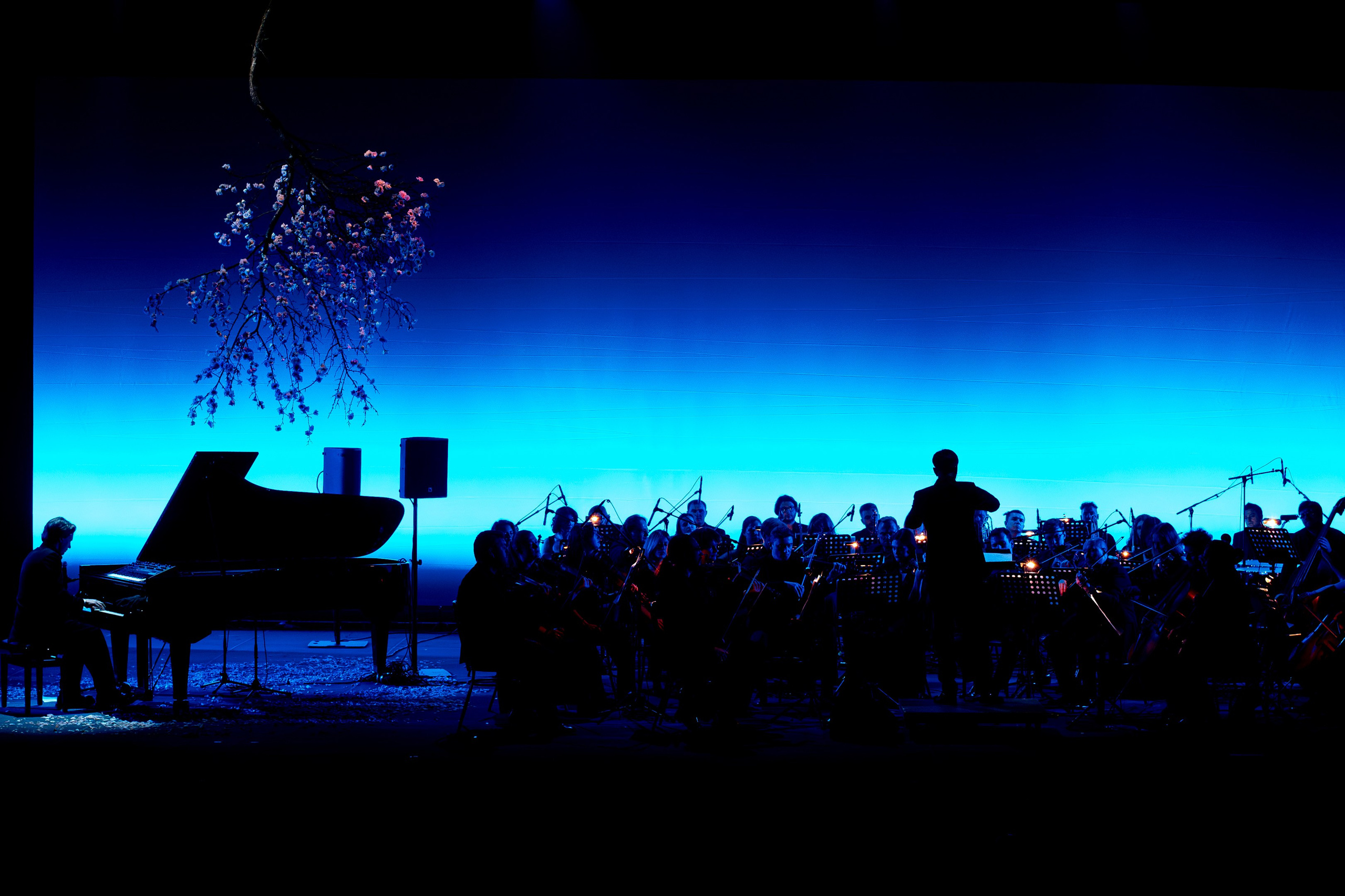 Никола Мельников / 2024. OOPS