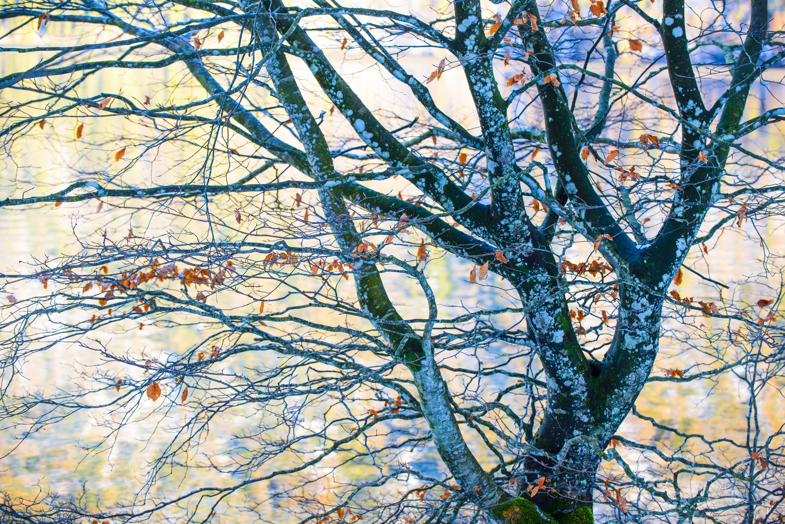 Фотографии для интерьера Вашего дома, квартиры, офиса или дачи. Авторские стильные фотокартины