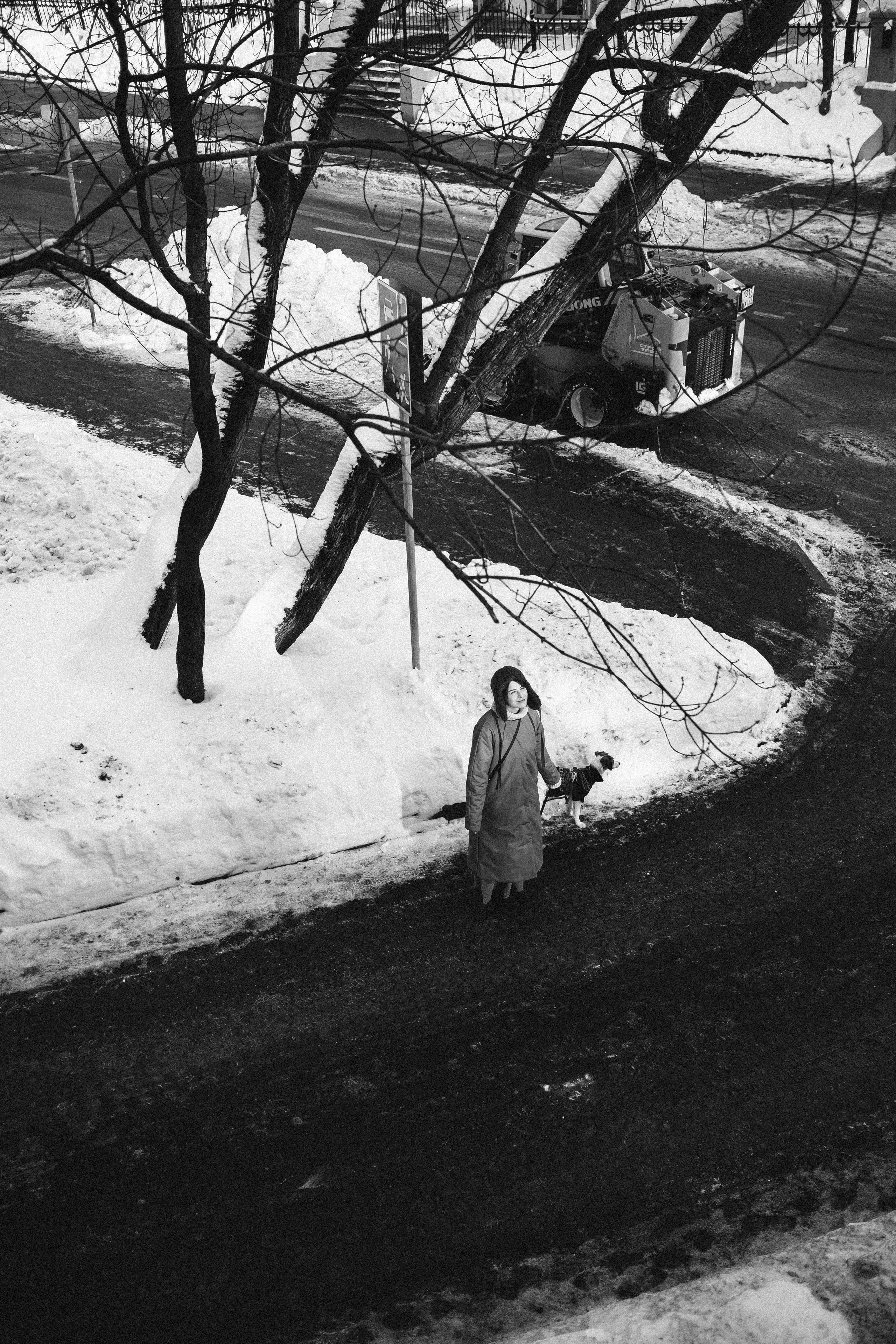 Лика и Клео. Свадебный фотограф Оля Григунова