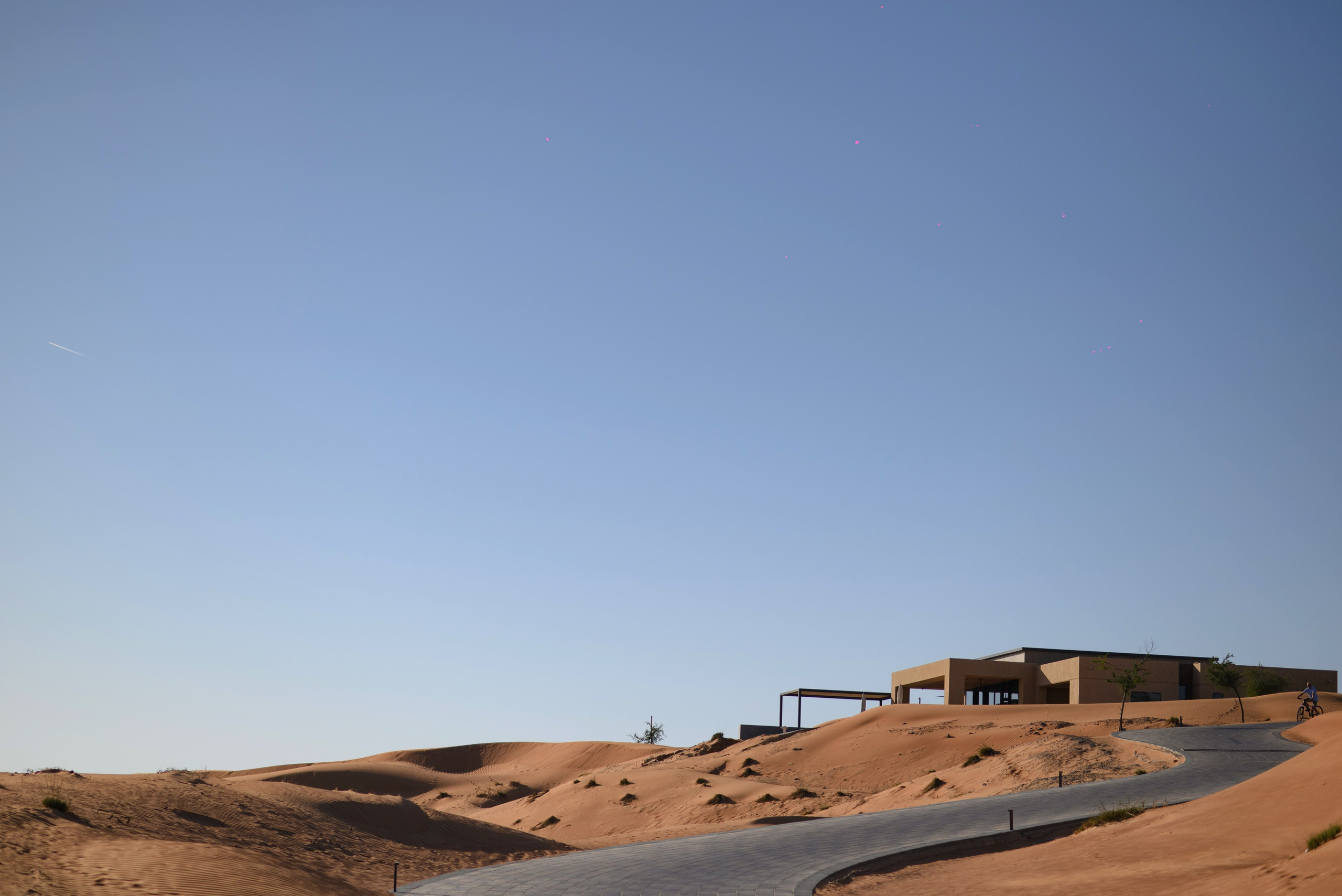 D+B. Фотограф Андрей Баксов