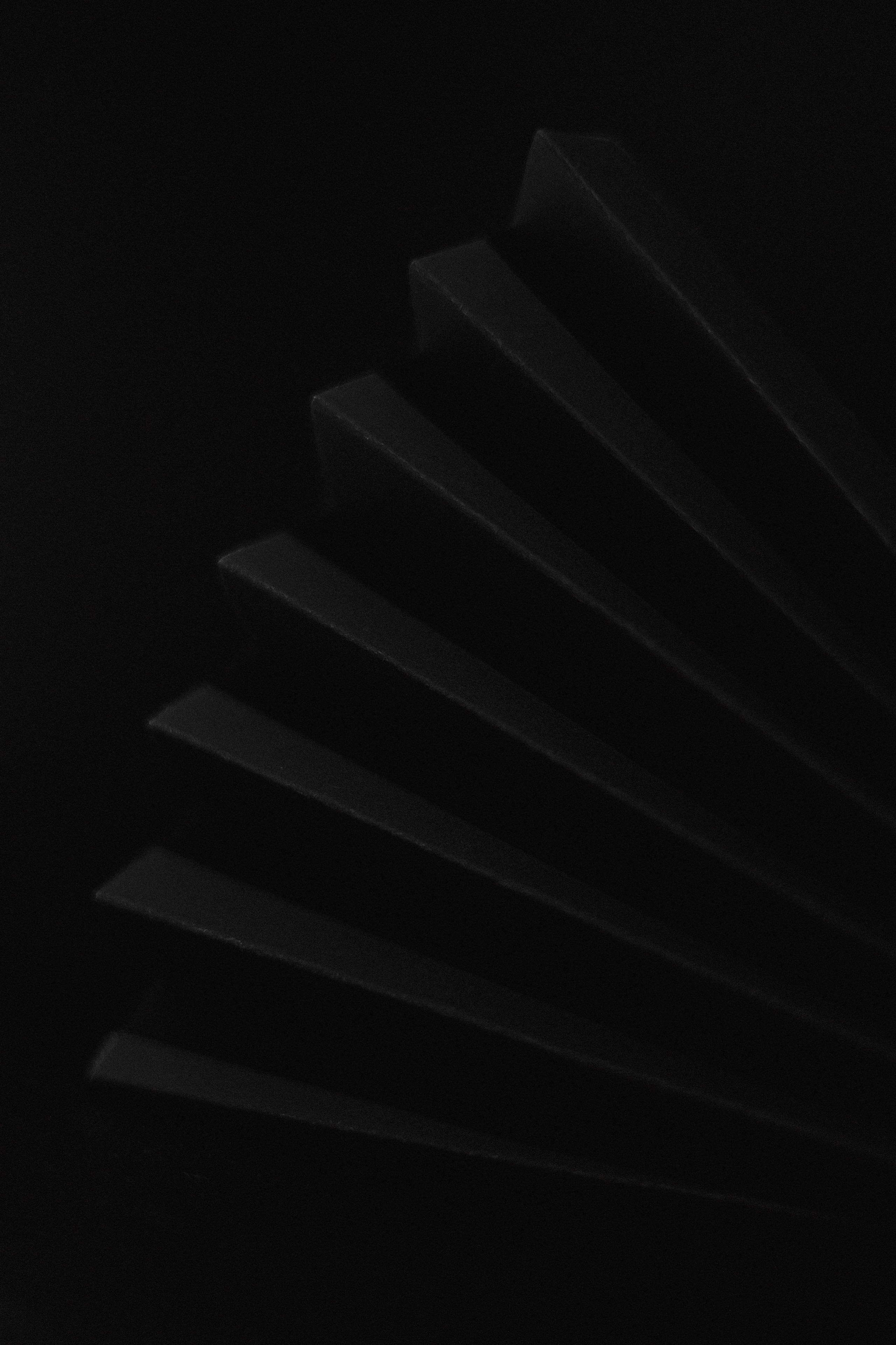 Проект «366»|2024|Фото каждый день. LENA GRACE photographer ||ЛЕНА ГРЭЙС фотограф