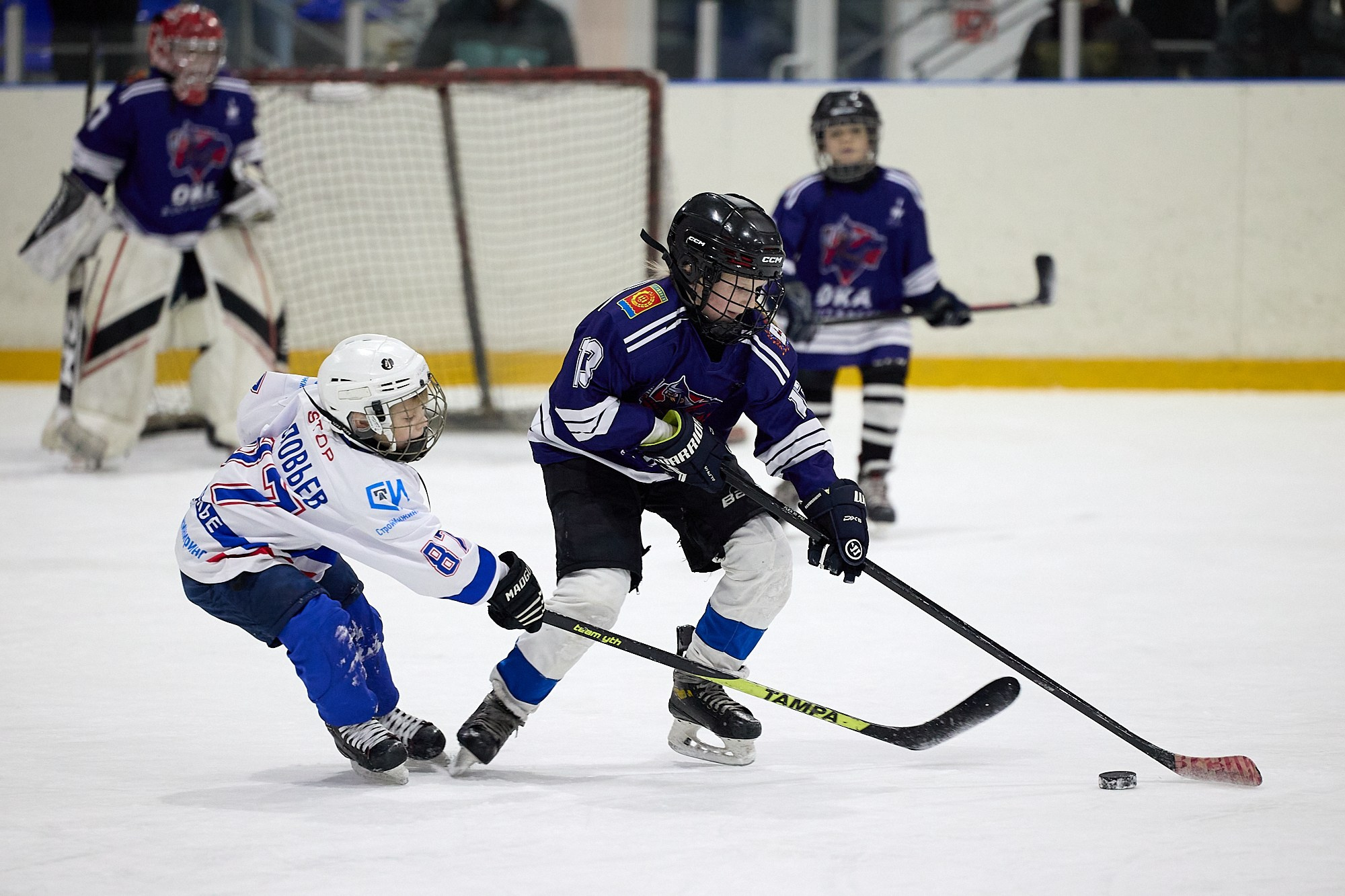 Хоккей. Турнир Insport, дети. Светлана Родионова — фотограф спортивный и не только