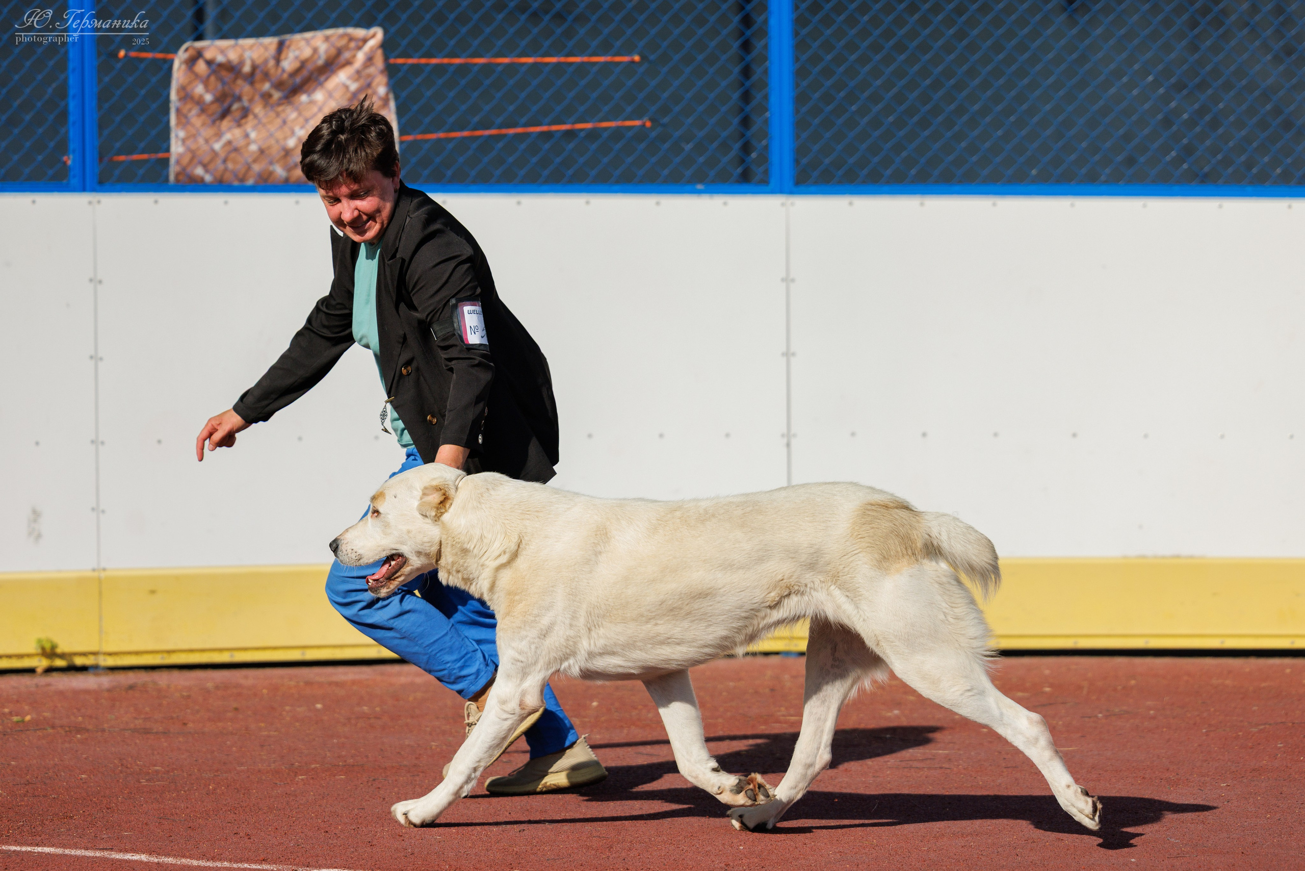 Коломна 30.08.2025. Фотограф-анималист Юлия Германика
