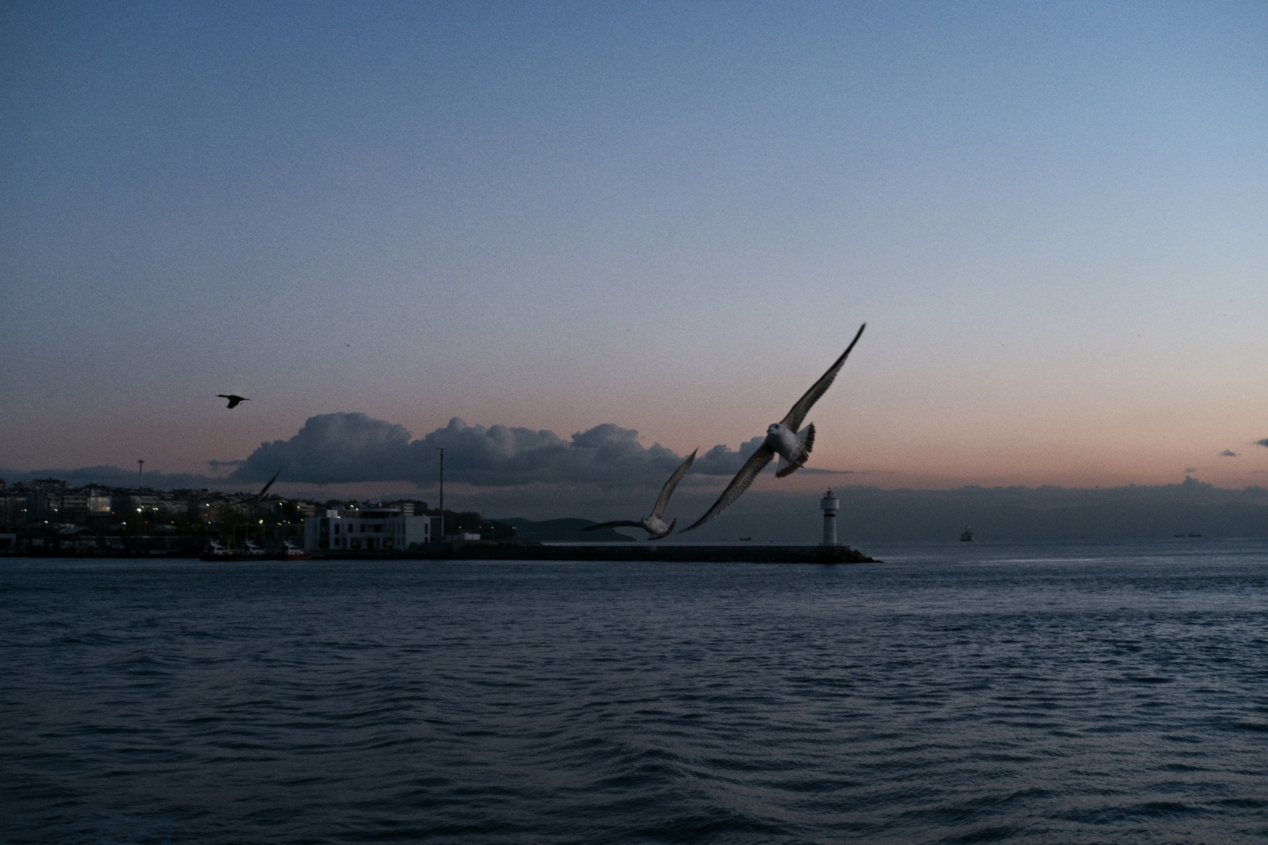 Kadikoy x Moda, Istanbul / Türkey AW25. Фотограф Юрин Евгений