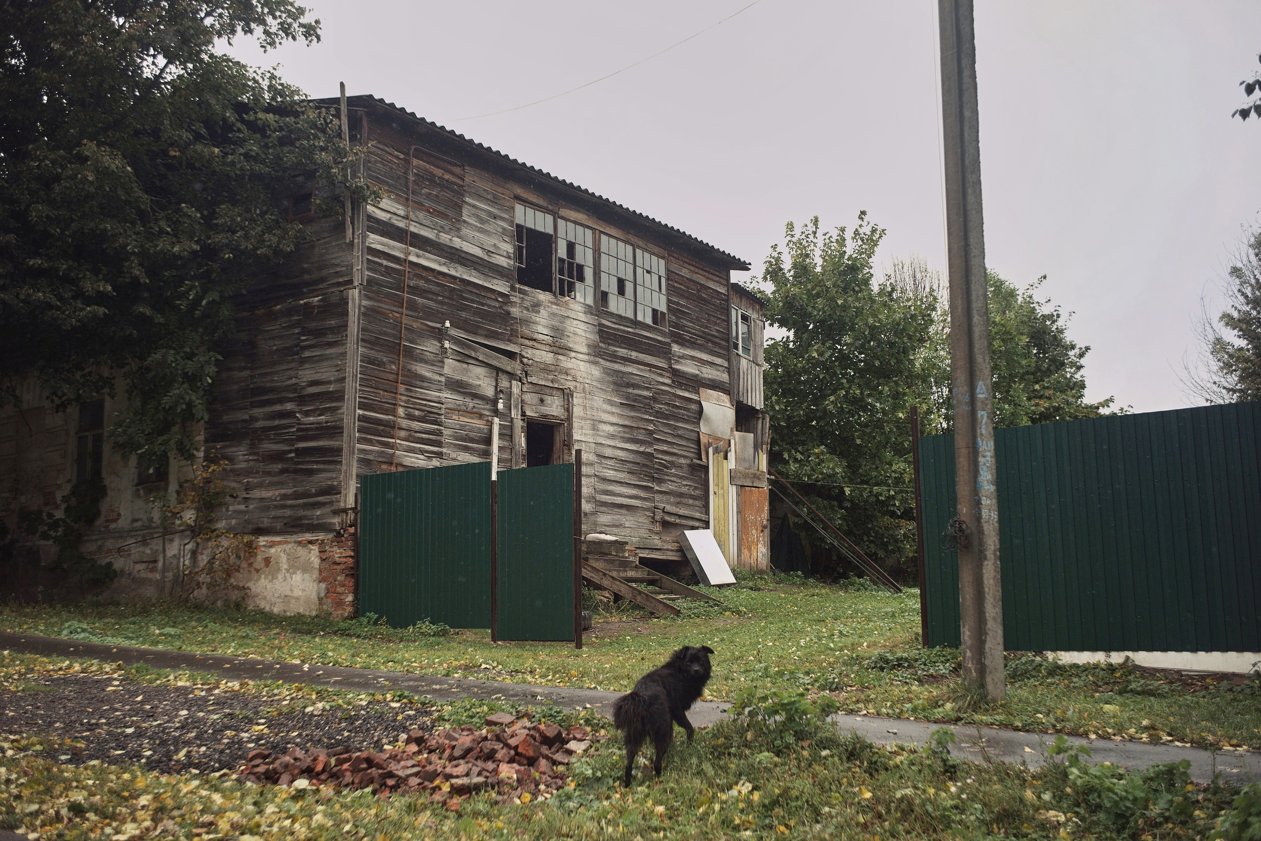 Чекалинцы 2. Дмитрий Ермаков. Фотограф