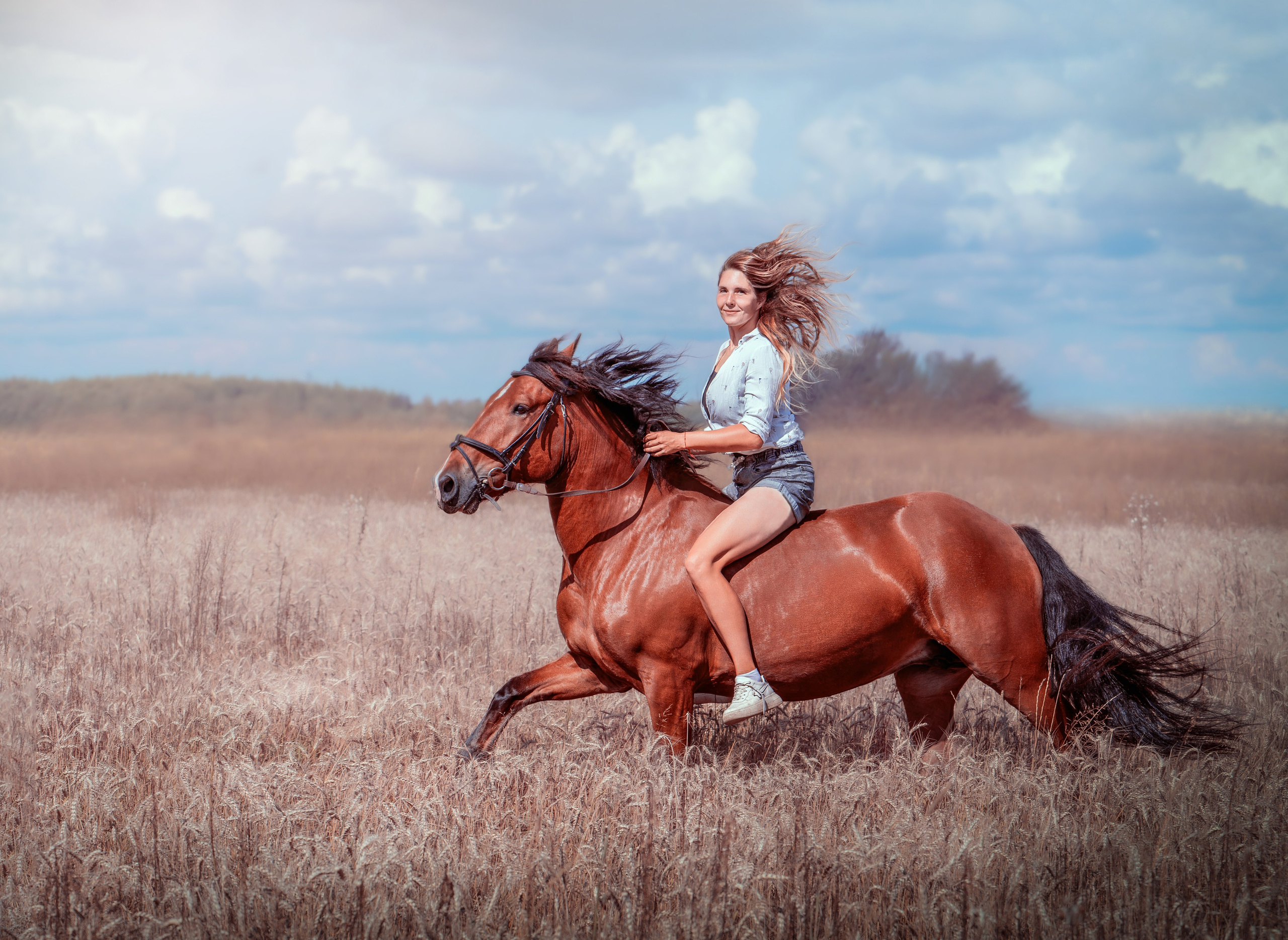 Летний зной. Фотограф Дарья Соколовская
