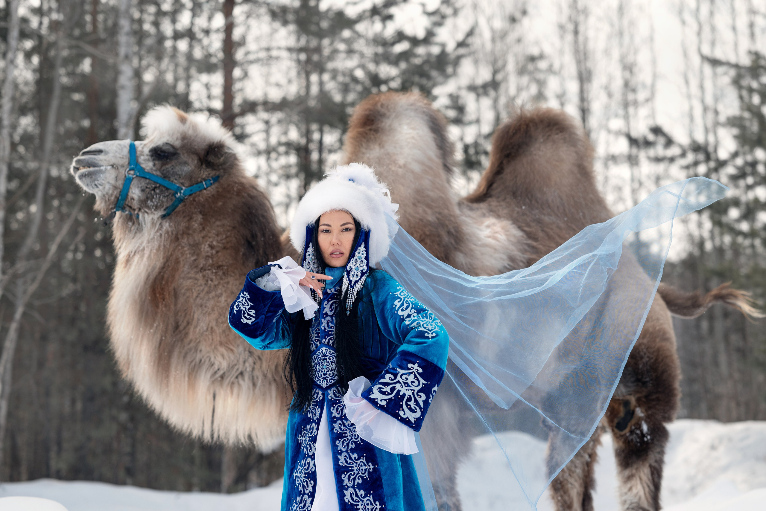 Казахская красавица и верблюд. Фотограф в Тюмени Голышева Елена