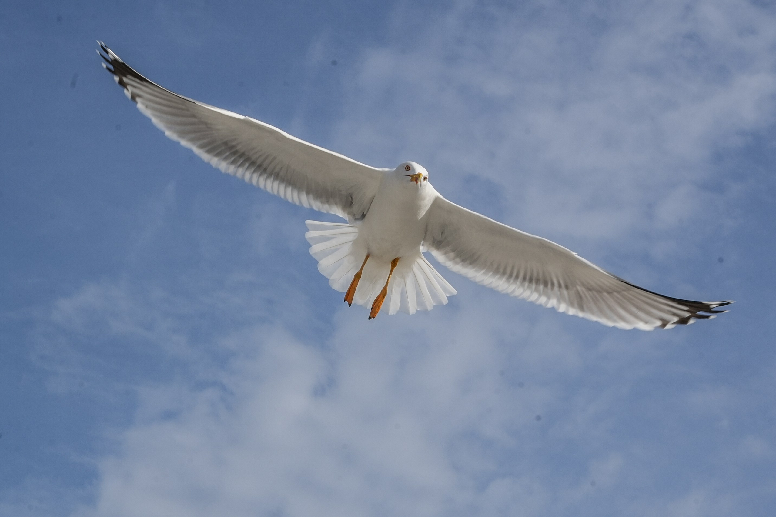 Фотосессия семейная и детская. Фотограф на крещение и венчание в Екатеринбурге. Ольга Мезенцева