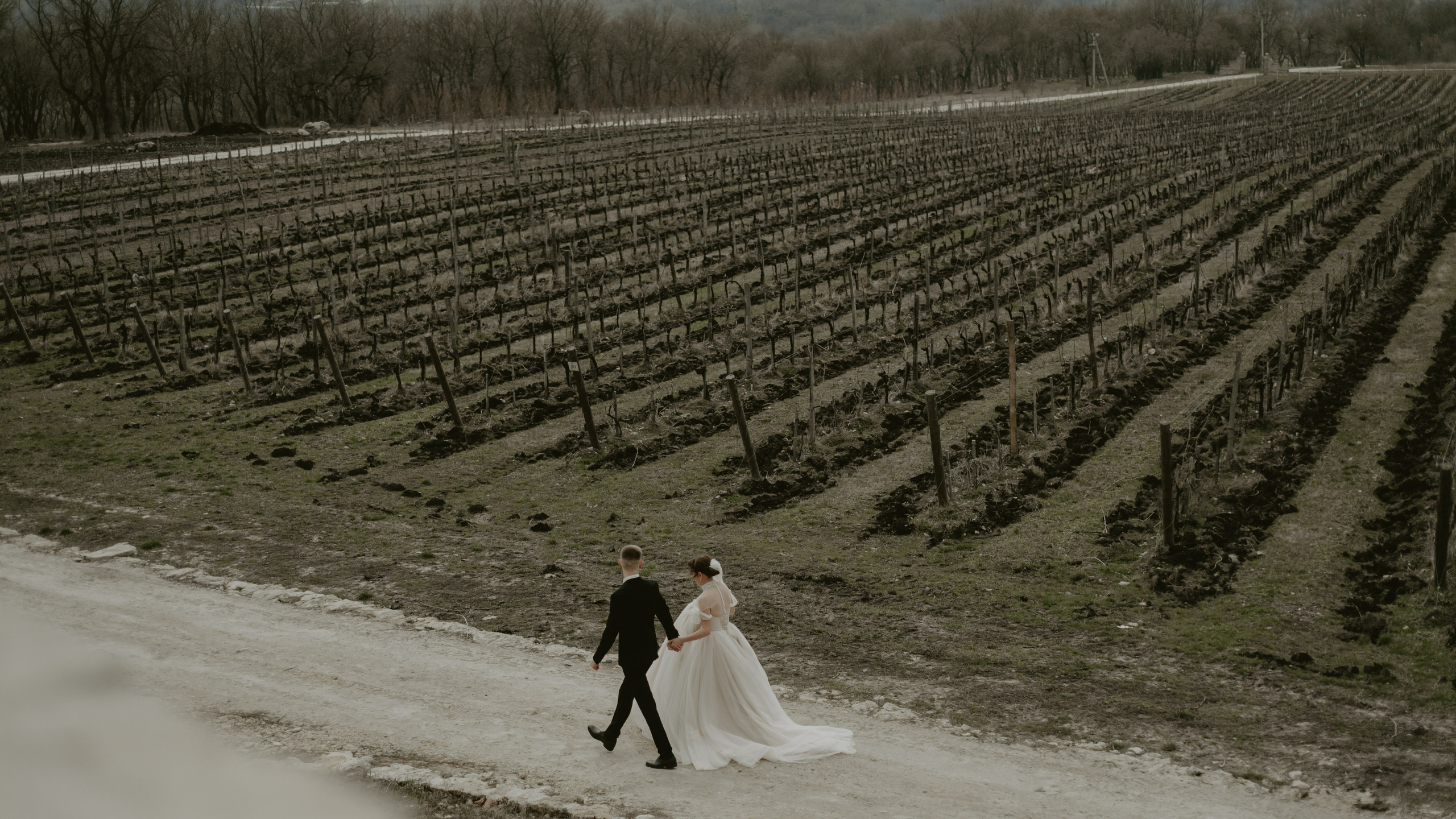 Свадебная фотосессия шато андре Анапа. Фотограф и Видеограф Анапа, Новороссийск, Краснодар. Алина и Женя