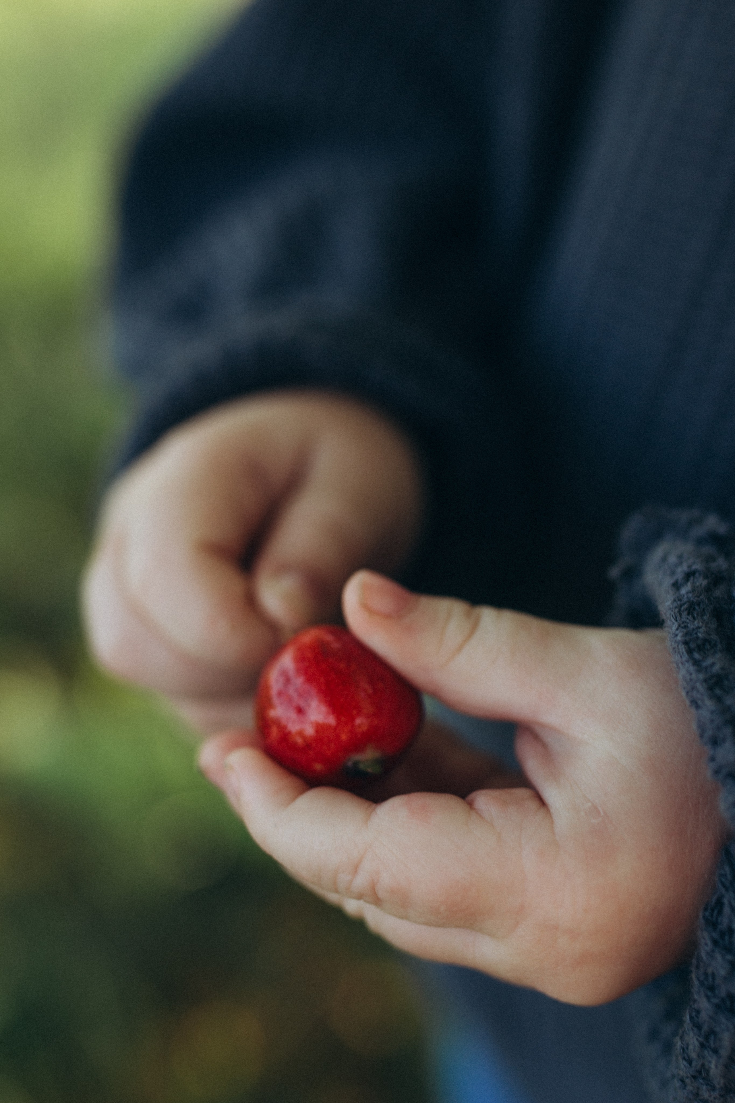 Елизавета, Христина и Иоаннис. Семейный фотограф в Новом Уренгое Алёна Пряженцева