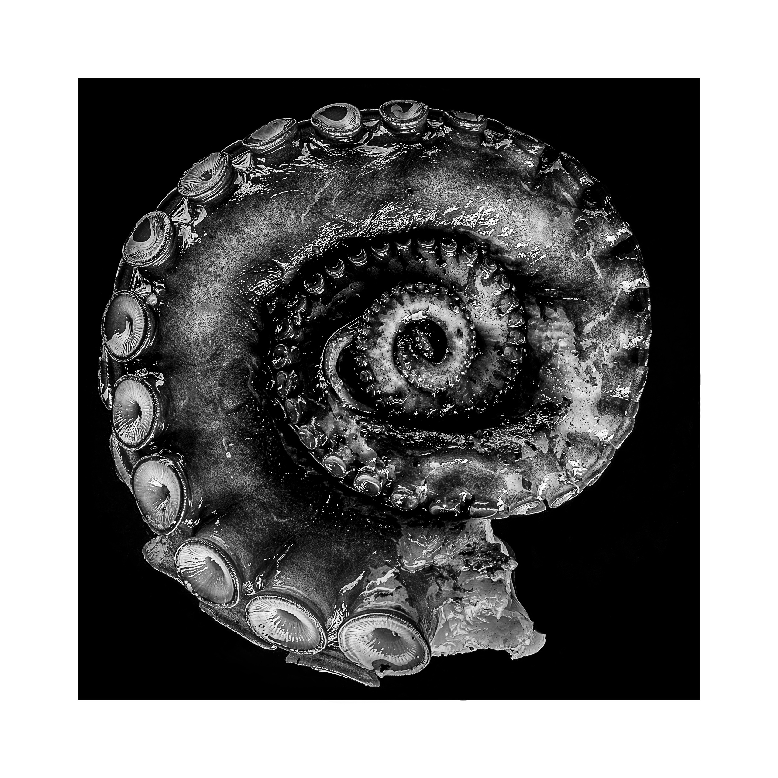 Фотопроект «Круги жизни». Портретный фотограф в Челябинске Катерина Руди