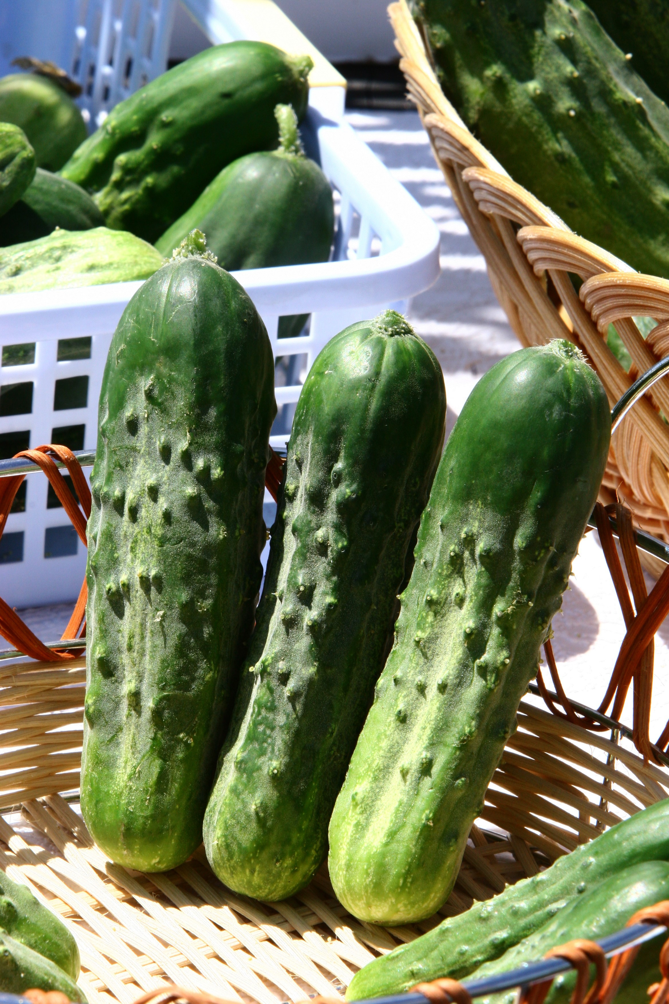 Product photography. The Website of the Photographer Vitaly Deni