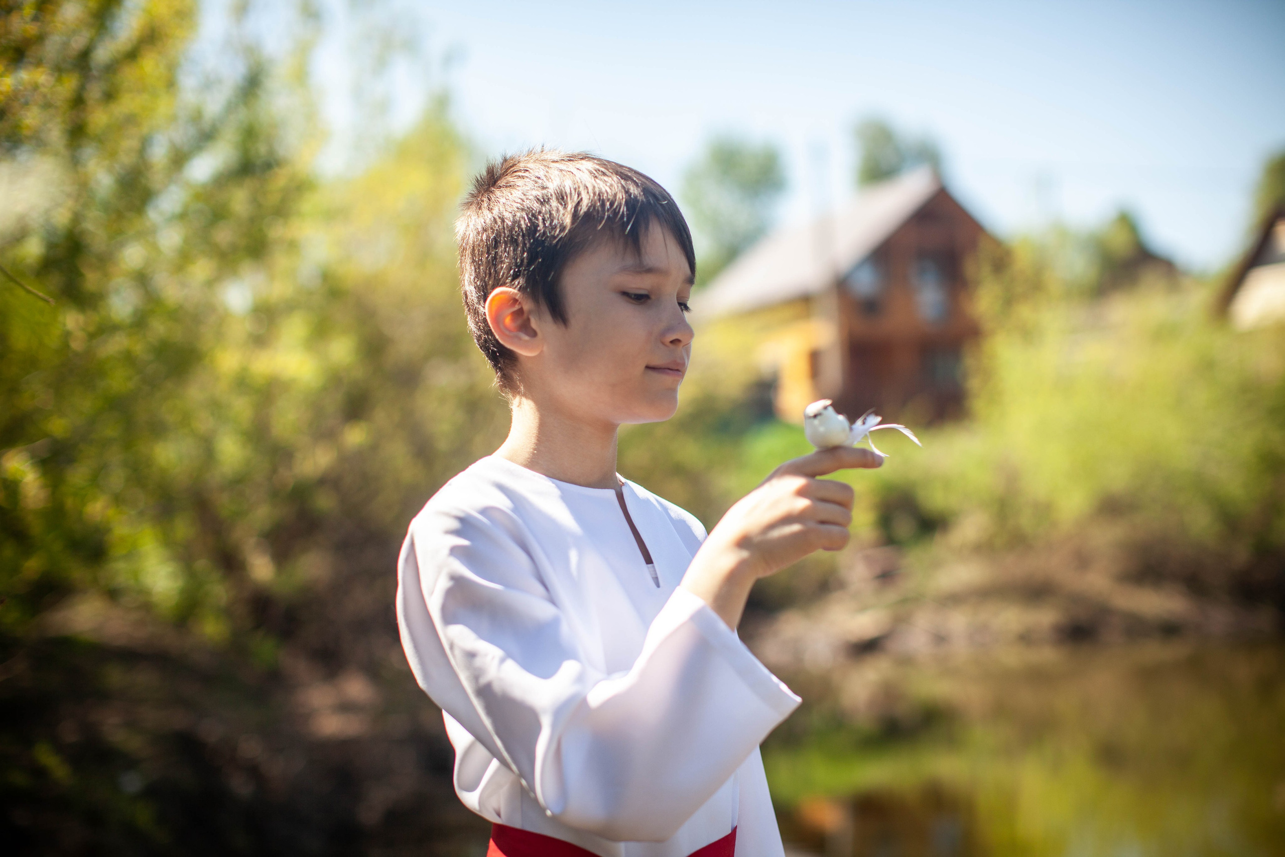 Летний день. Art my Pho