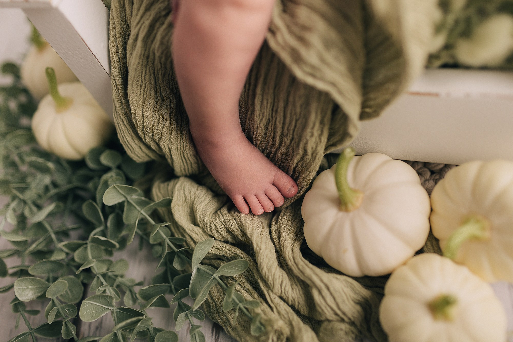 Степан 8 дней. Семейный фотограф новорождённых в Серпухове Юлия Новикова +79637785957