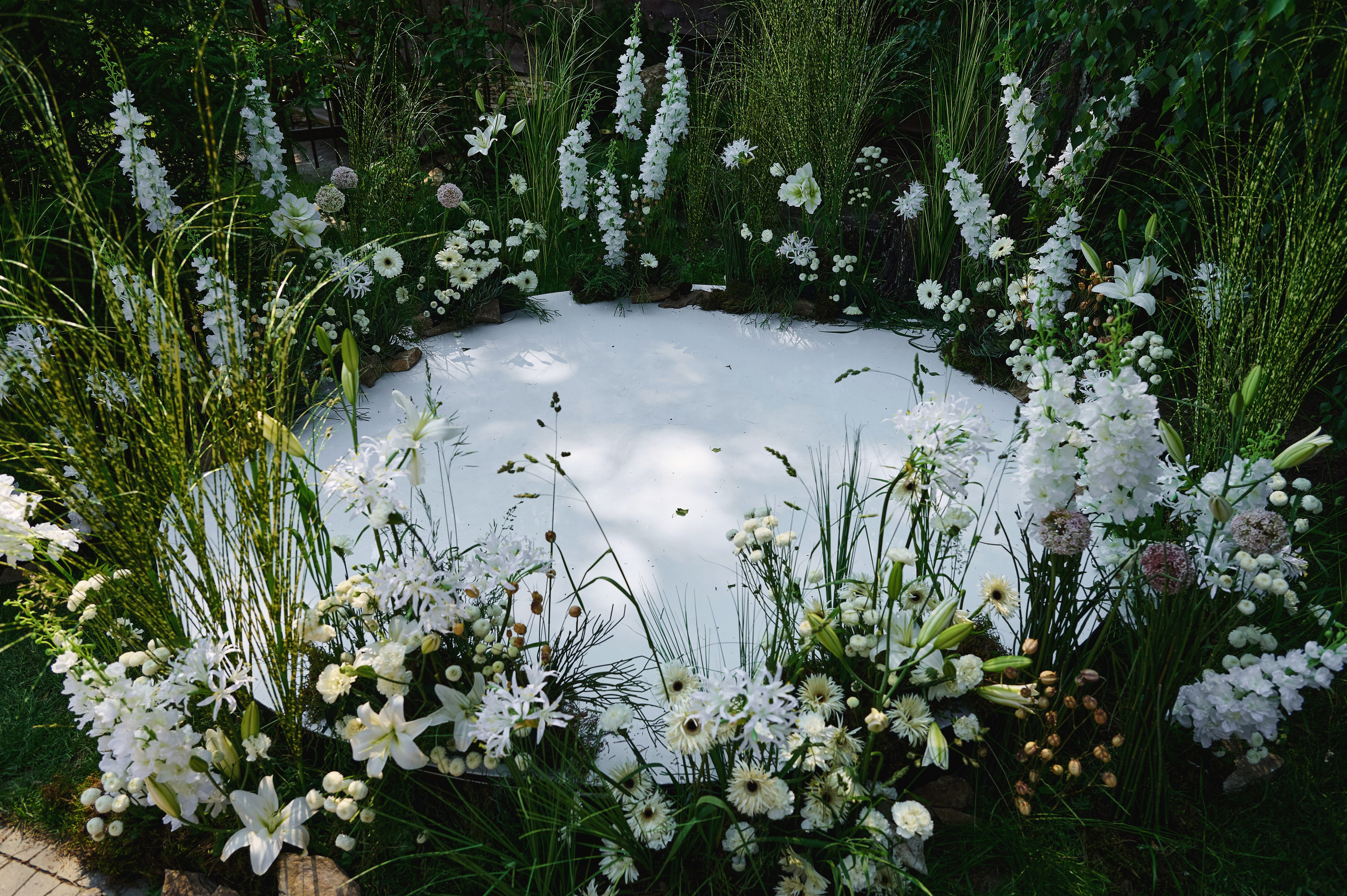 Lesnoy Village. Фотограф Опыт Качество Скорость Горный Алтай Барнаул