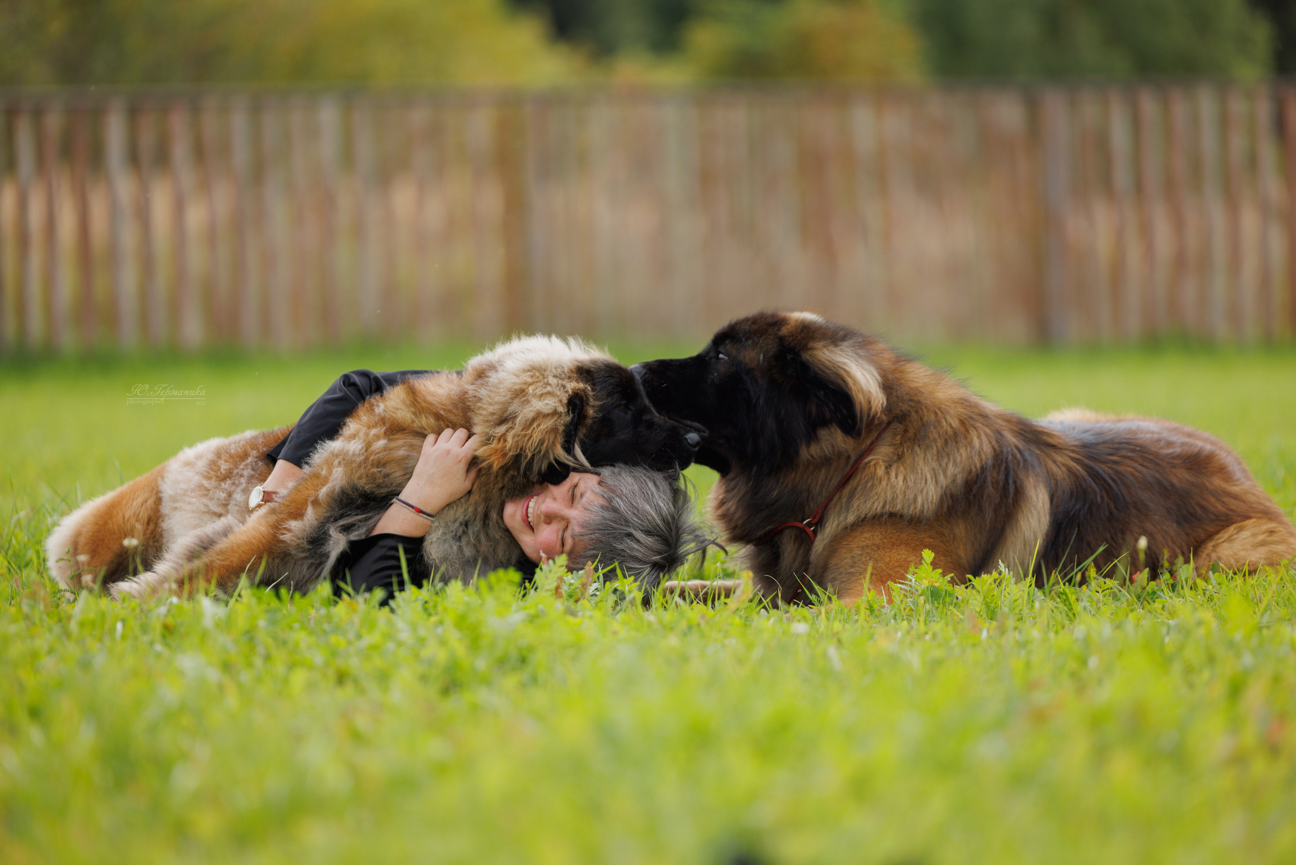 Переславль 5-7.08.2025. Фотограф-анималист Юлия Германика