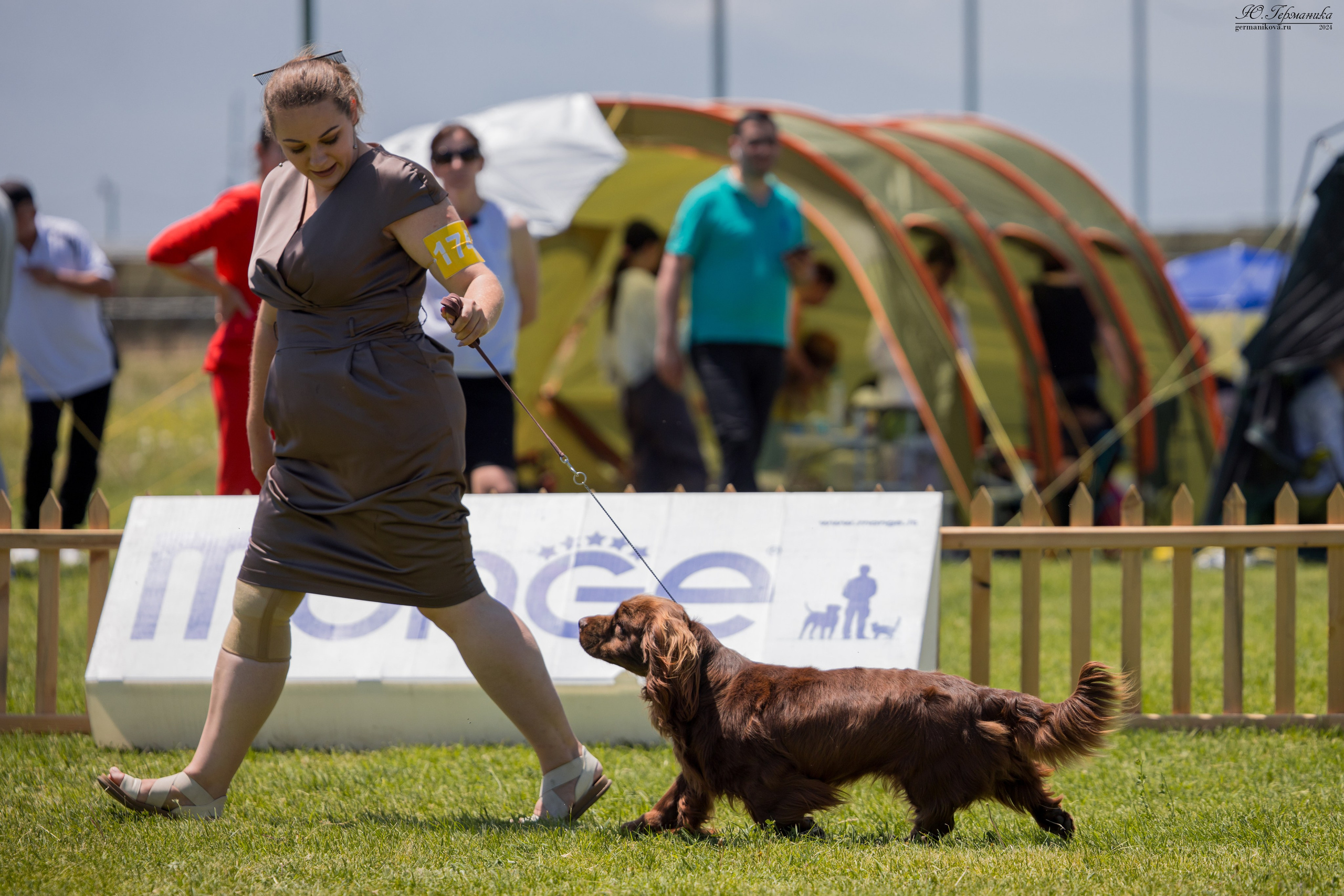 Ереван 3-5.06.2024. Фотограф-анималист Юлия Германика