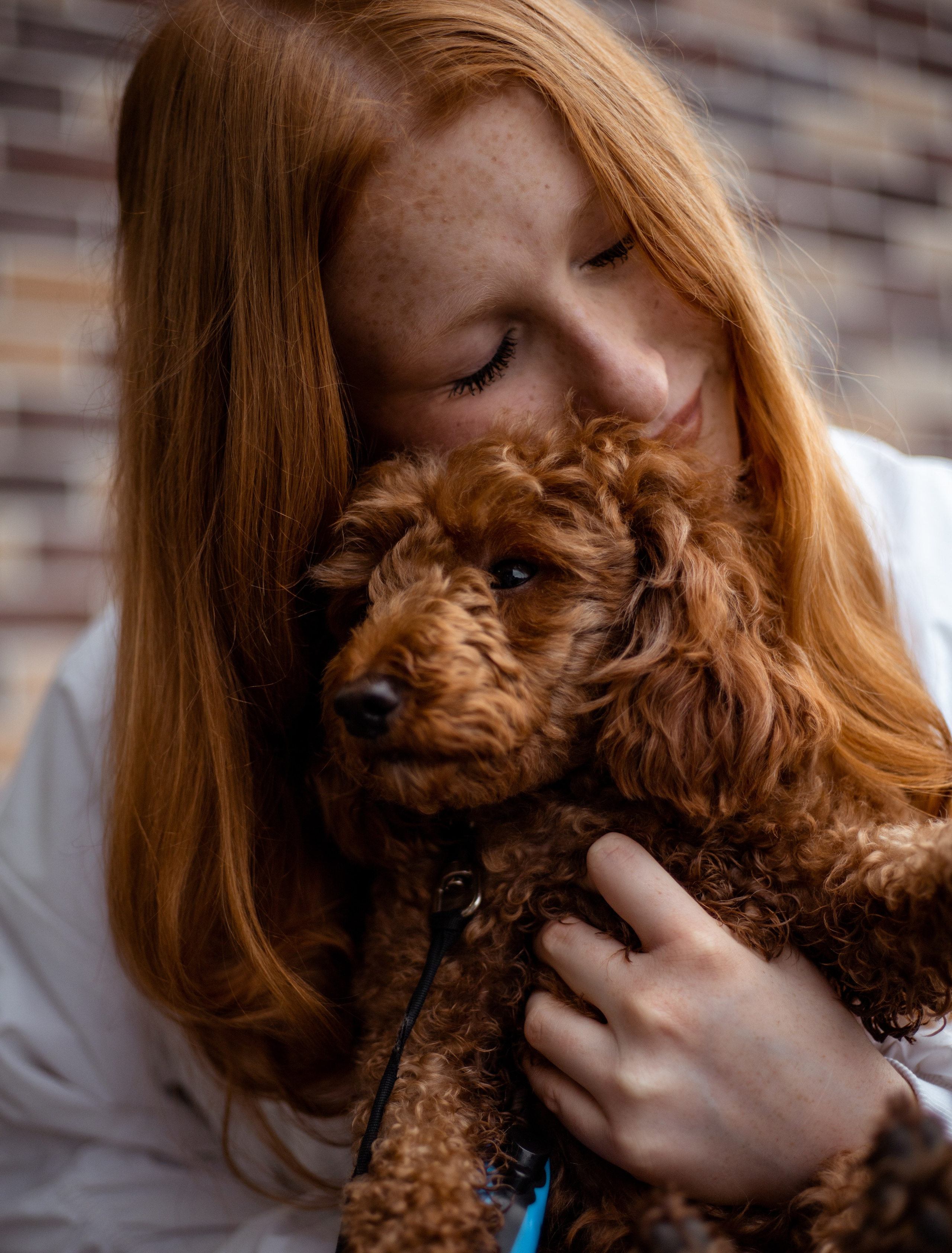 Съемки с питомцем. Tenny-Tiny Ph