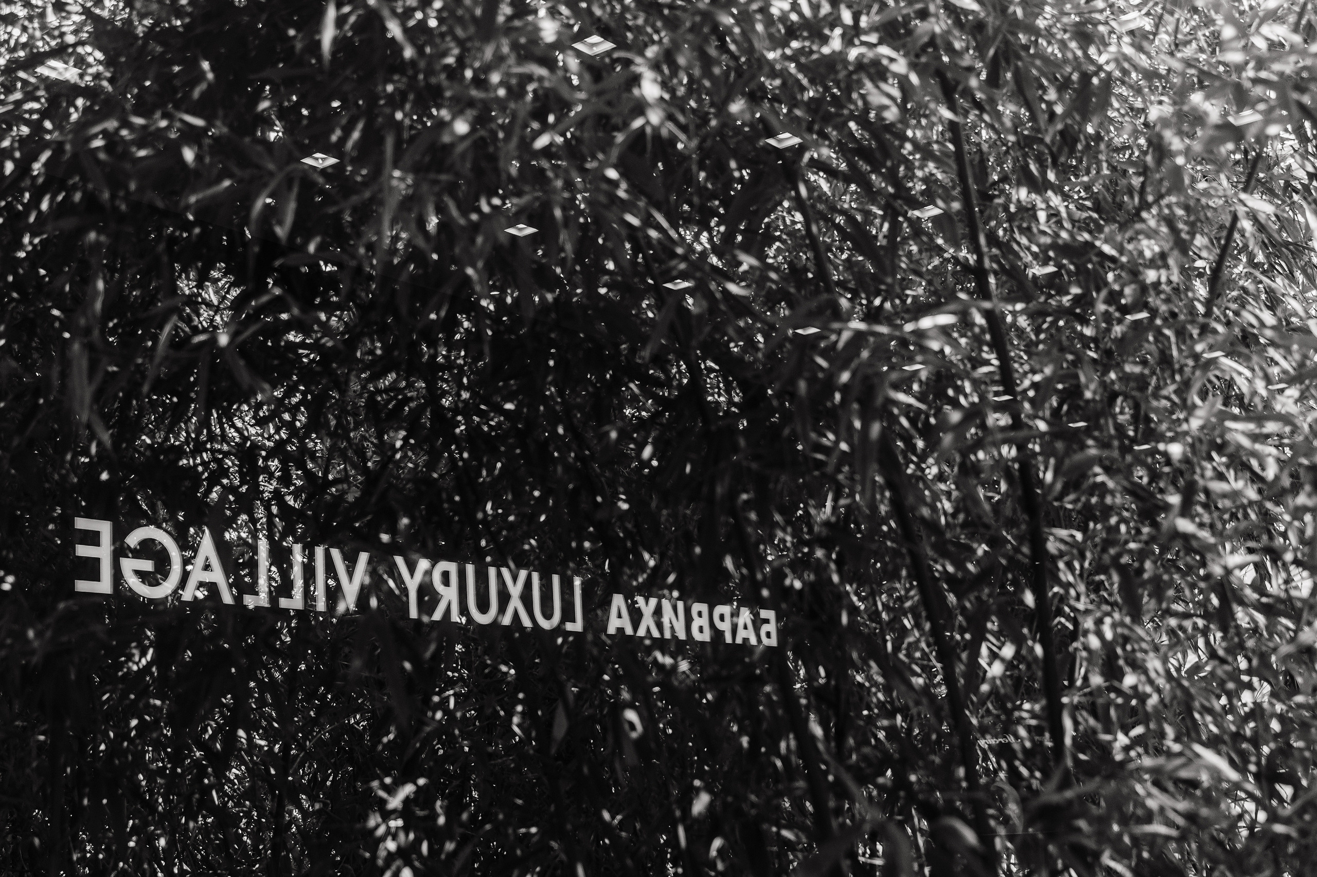 Свадьба Эльвины и Александра. Анонс