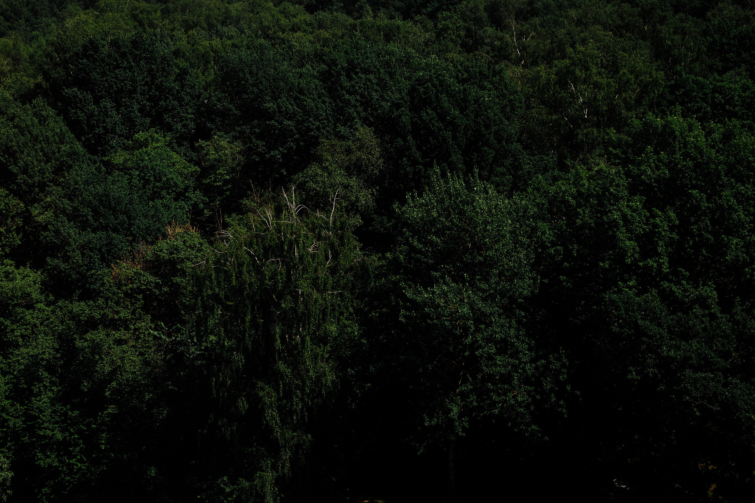 Эля и Саша. Часть 2