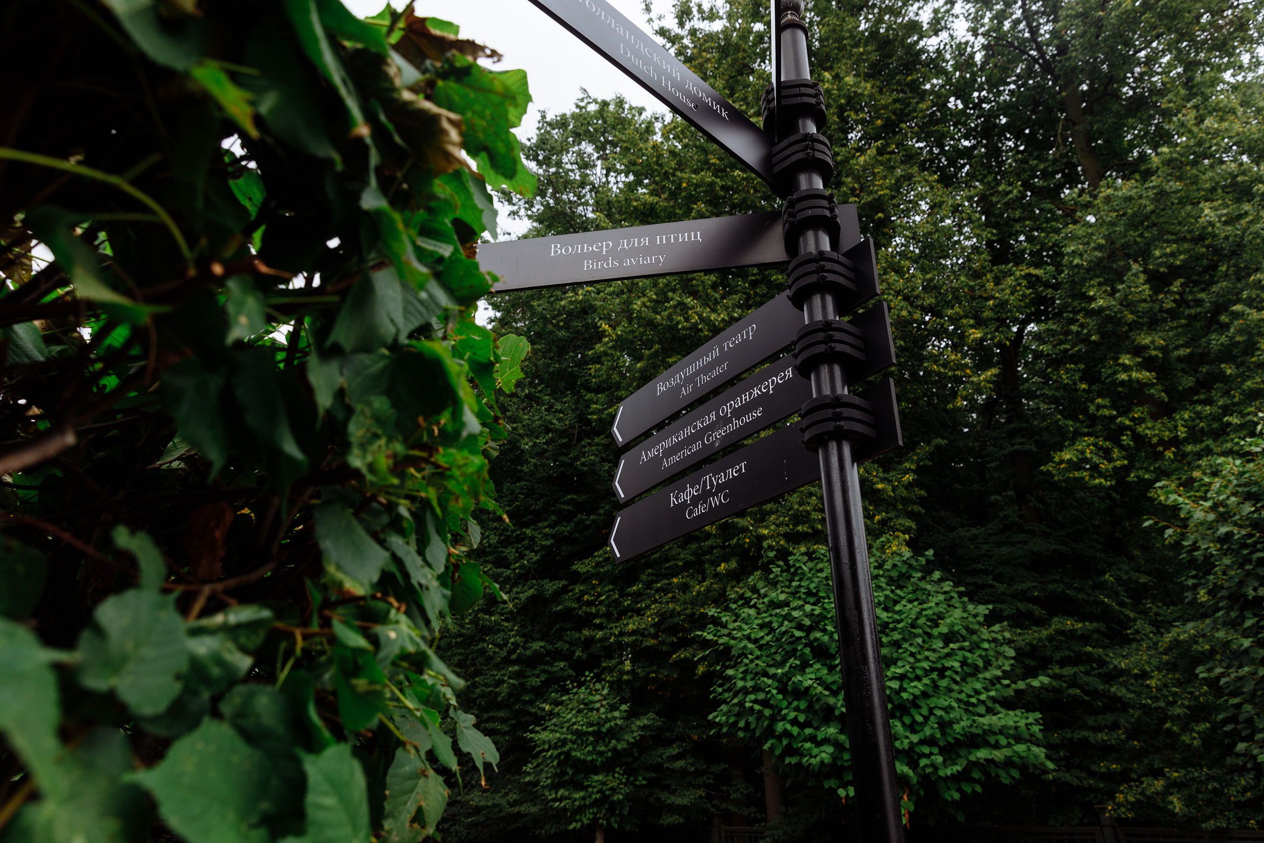 Анонс свадьбы Артема и Кати