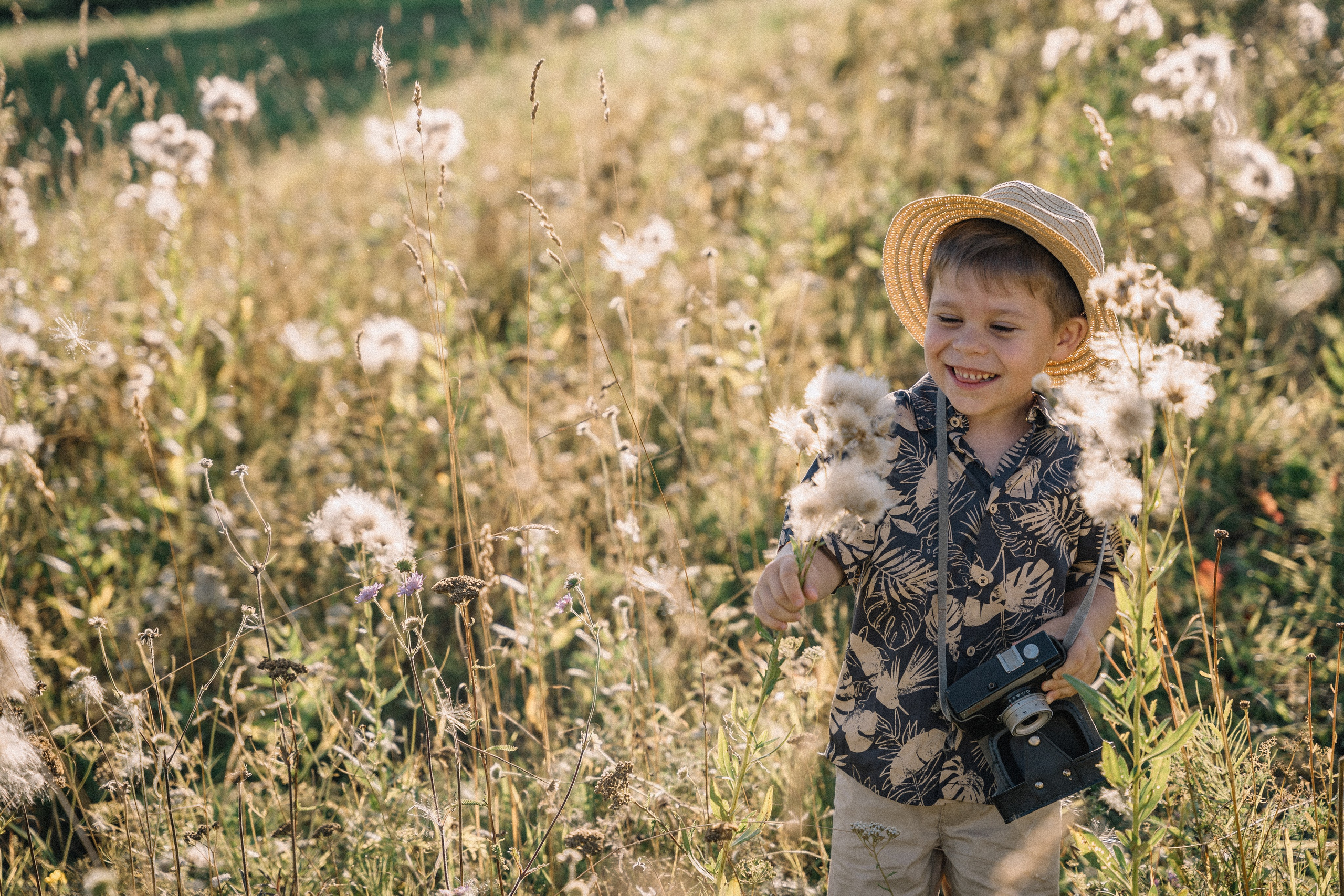 Гуси лебеди