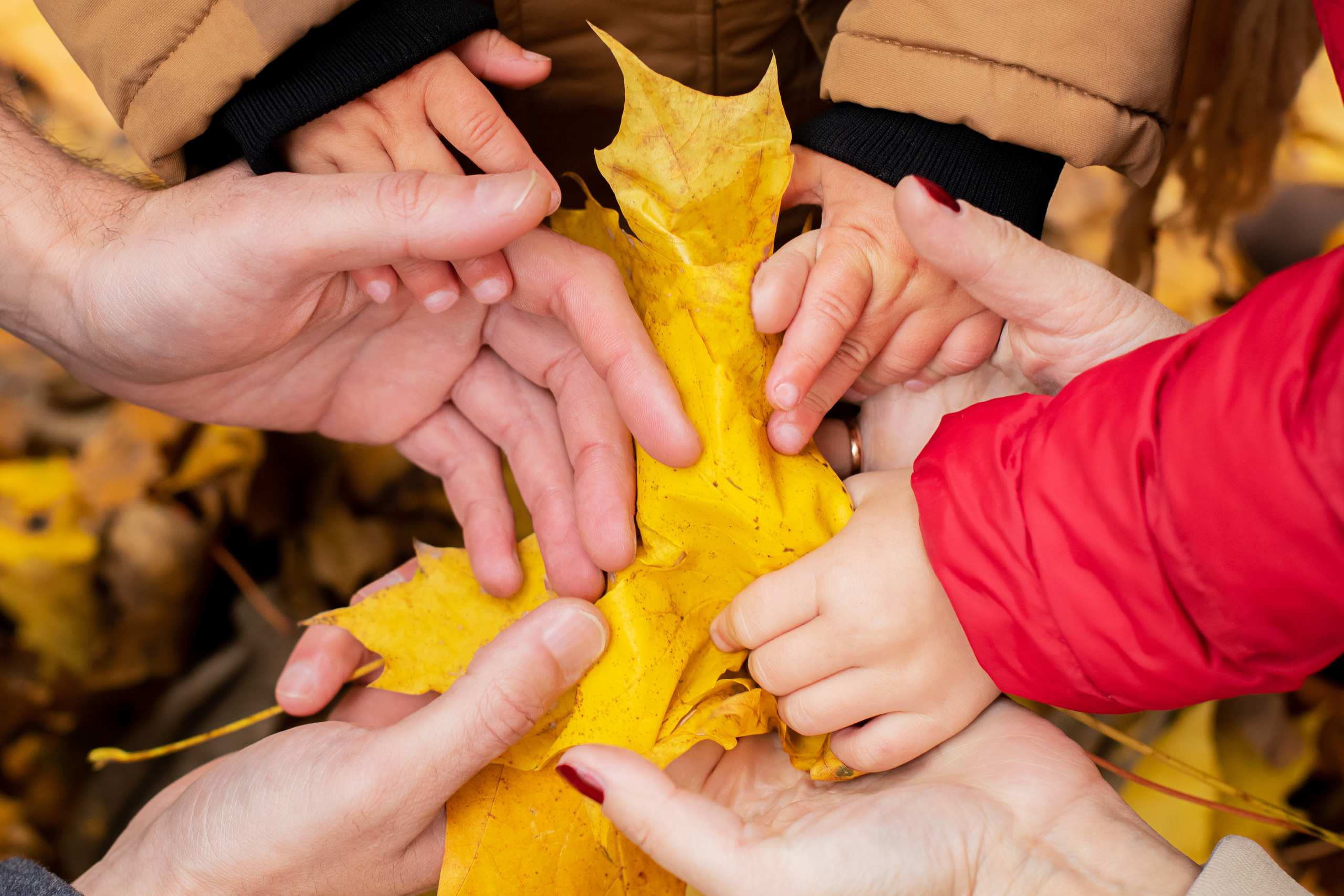Семья Вари. Семейный и детский фотограф в Москве и Краснодаре Натали Питенко
