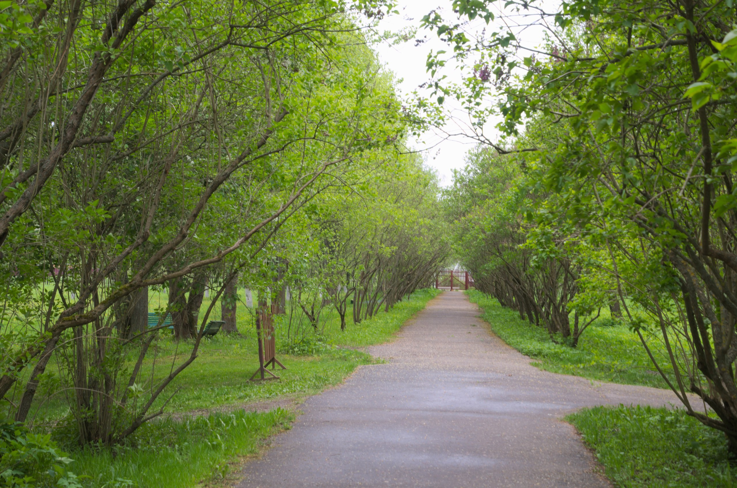 Мелихово | 21.05.2017. Галерея Фантим