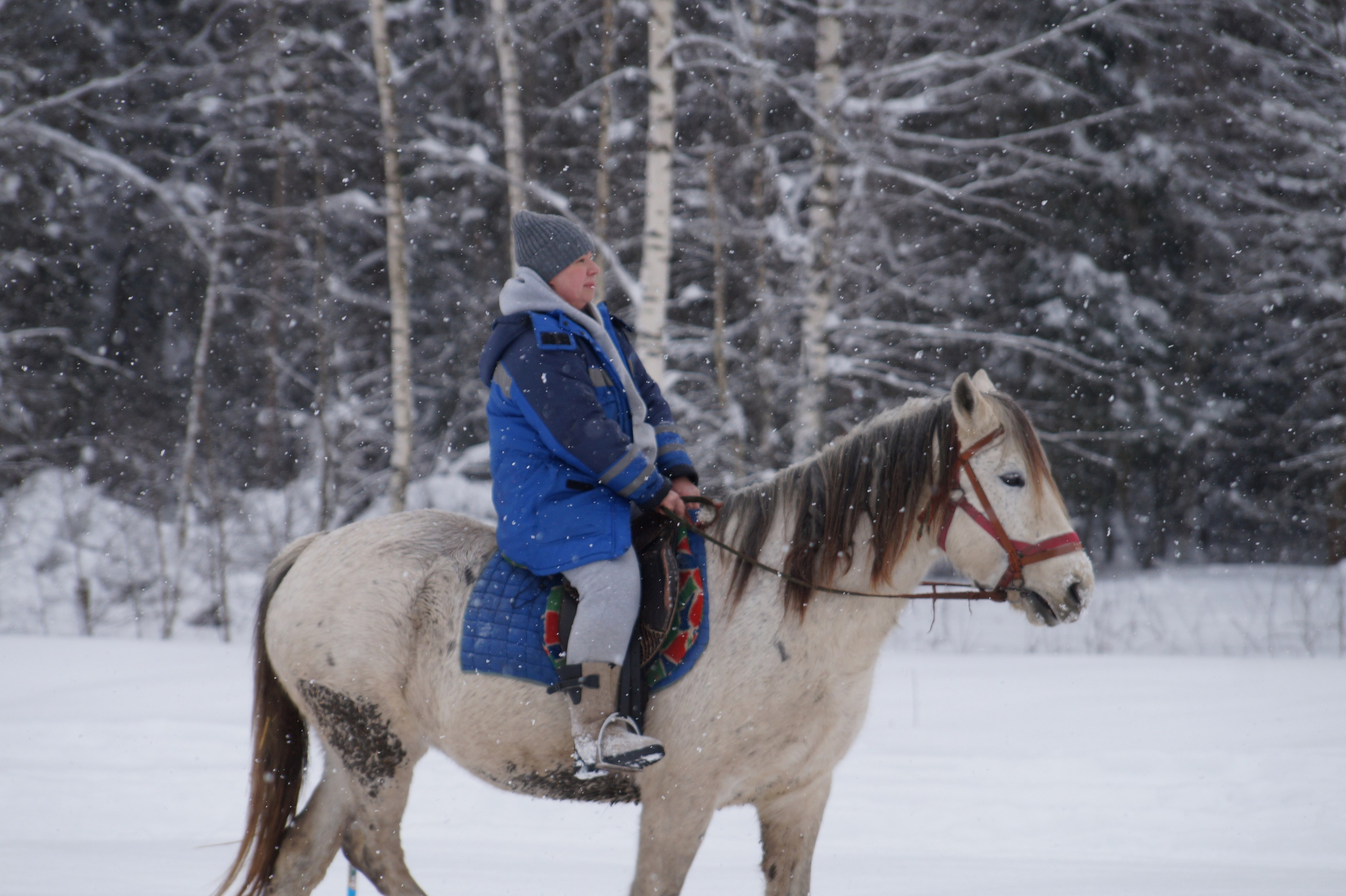 Лошадинг | 11.01.2026. Галерея Фантим