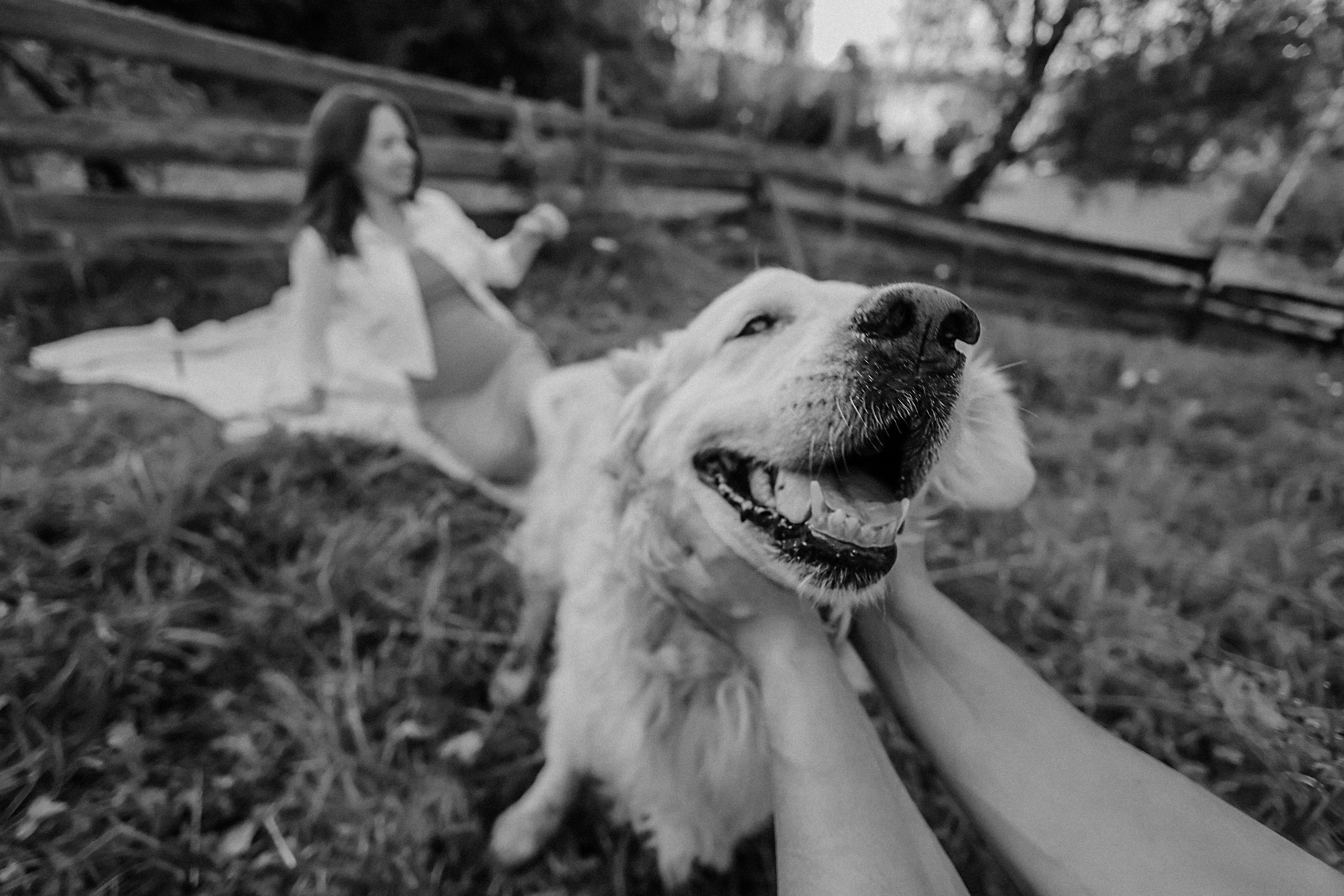 Луговое беременность. Семейный фотограф Тюмень, фотограф на роды Салмина Мария