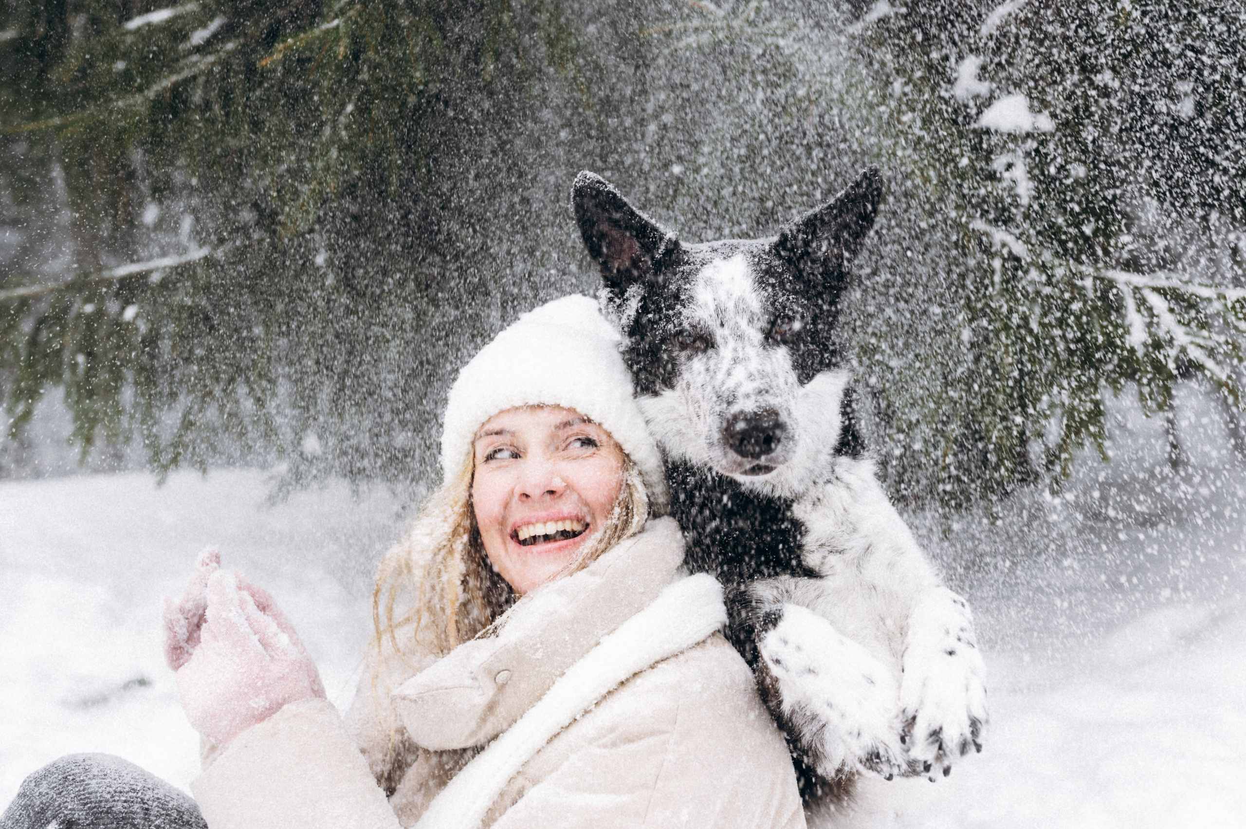 Аня и Милан. Фотограф анималист в Москве Ольга Агушева