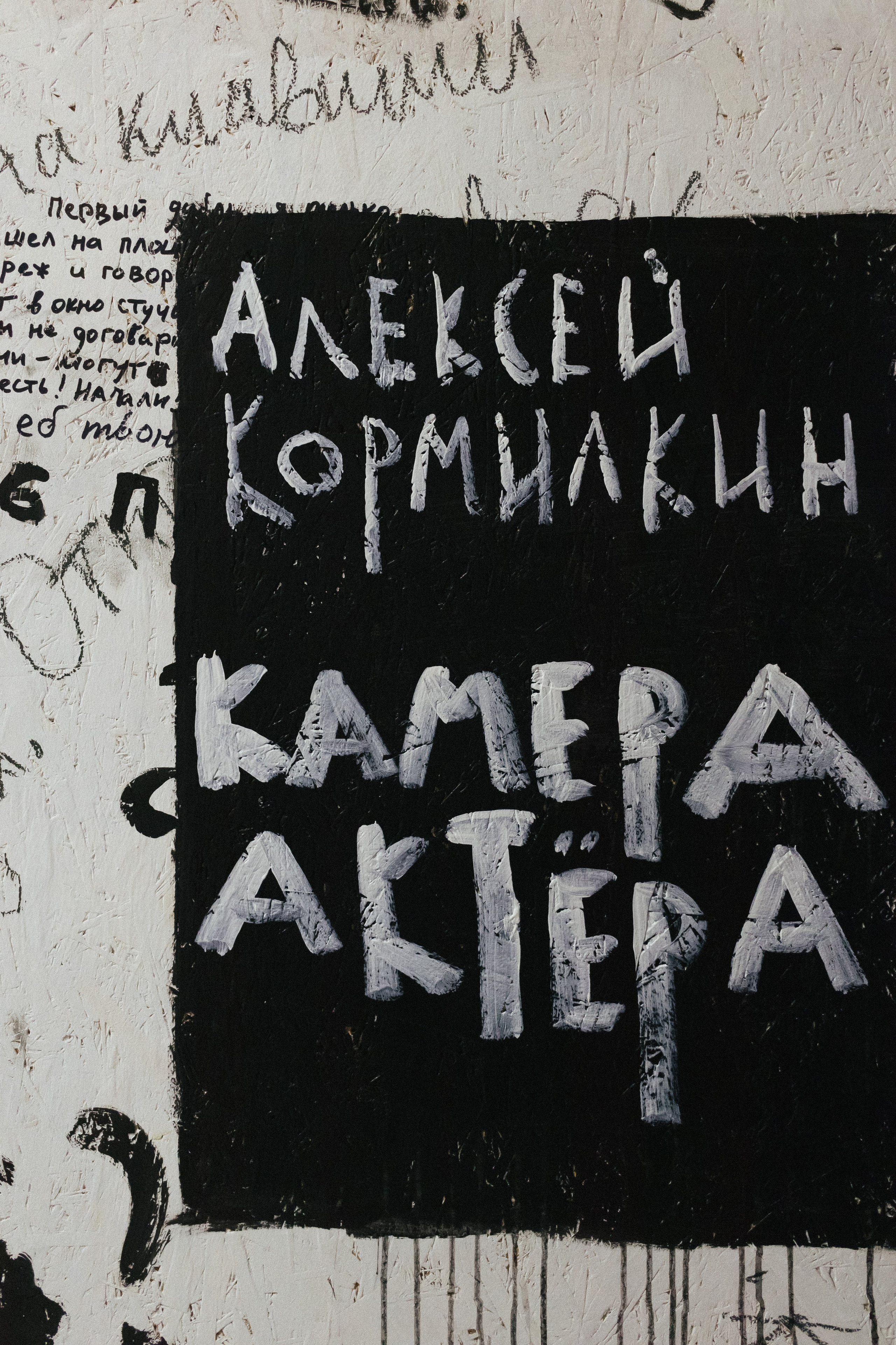 Фестивали, выставки. Коммерческий фотограф в Санкт-Петербурге (СПб) Екатерина Панчёха, Панчёшка