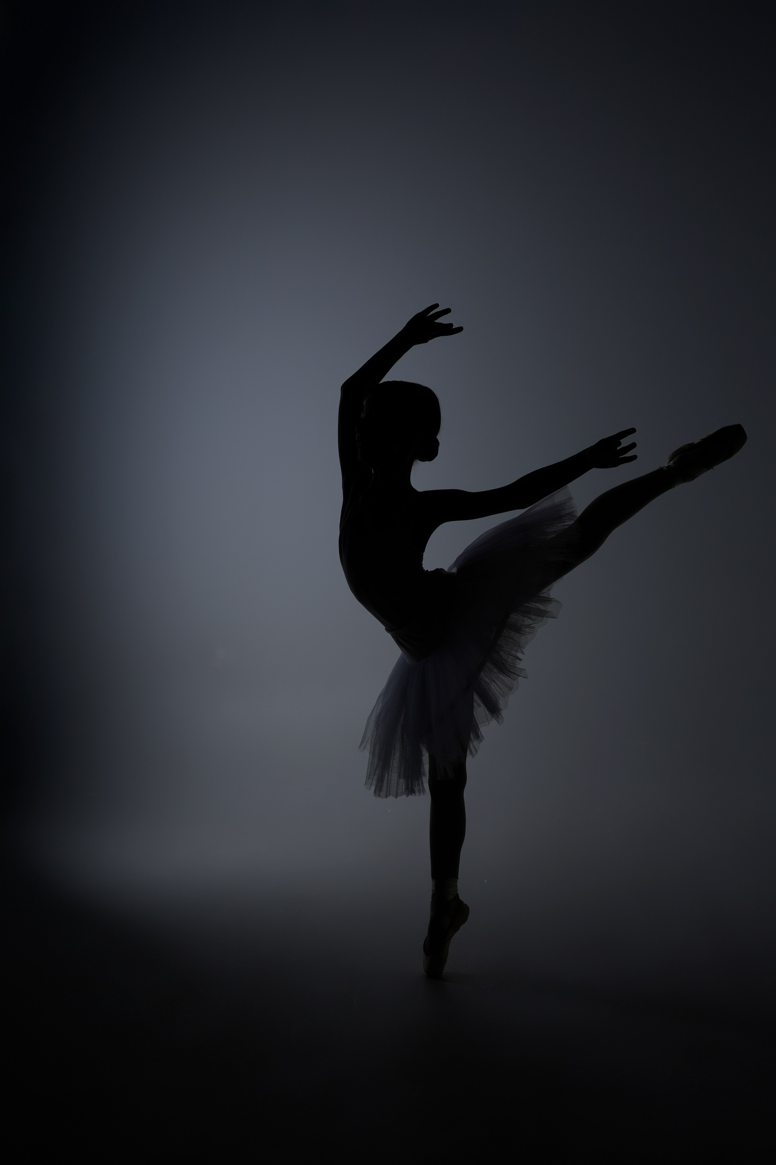 БАЛЕТ. Семейный фотограф в Сочи Лара Salut