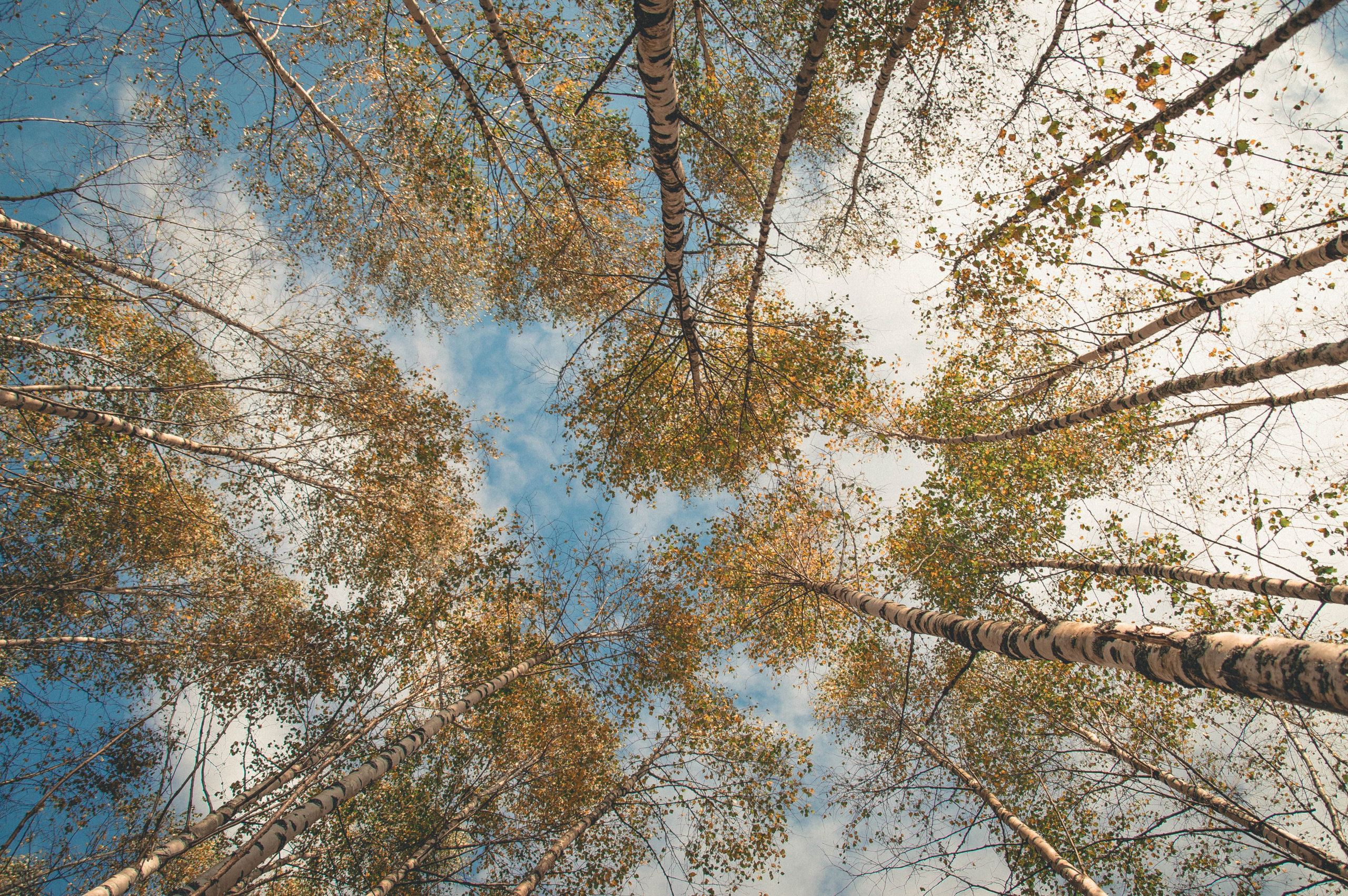 Реконструкция «Вяземский котел». Индивидуальный фотограф в Москве