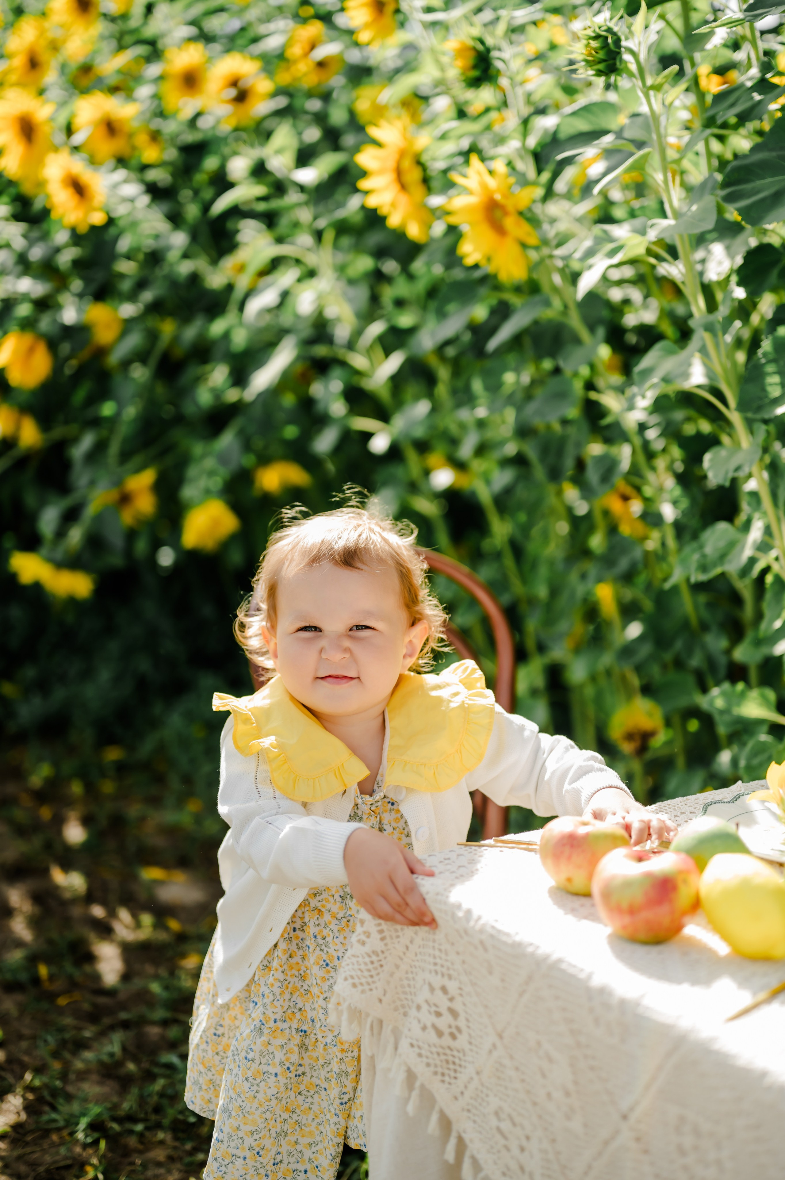 Подсолнухи. Свадебный и семейный фотограф Евгения Кононова