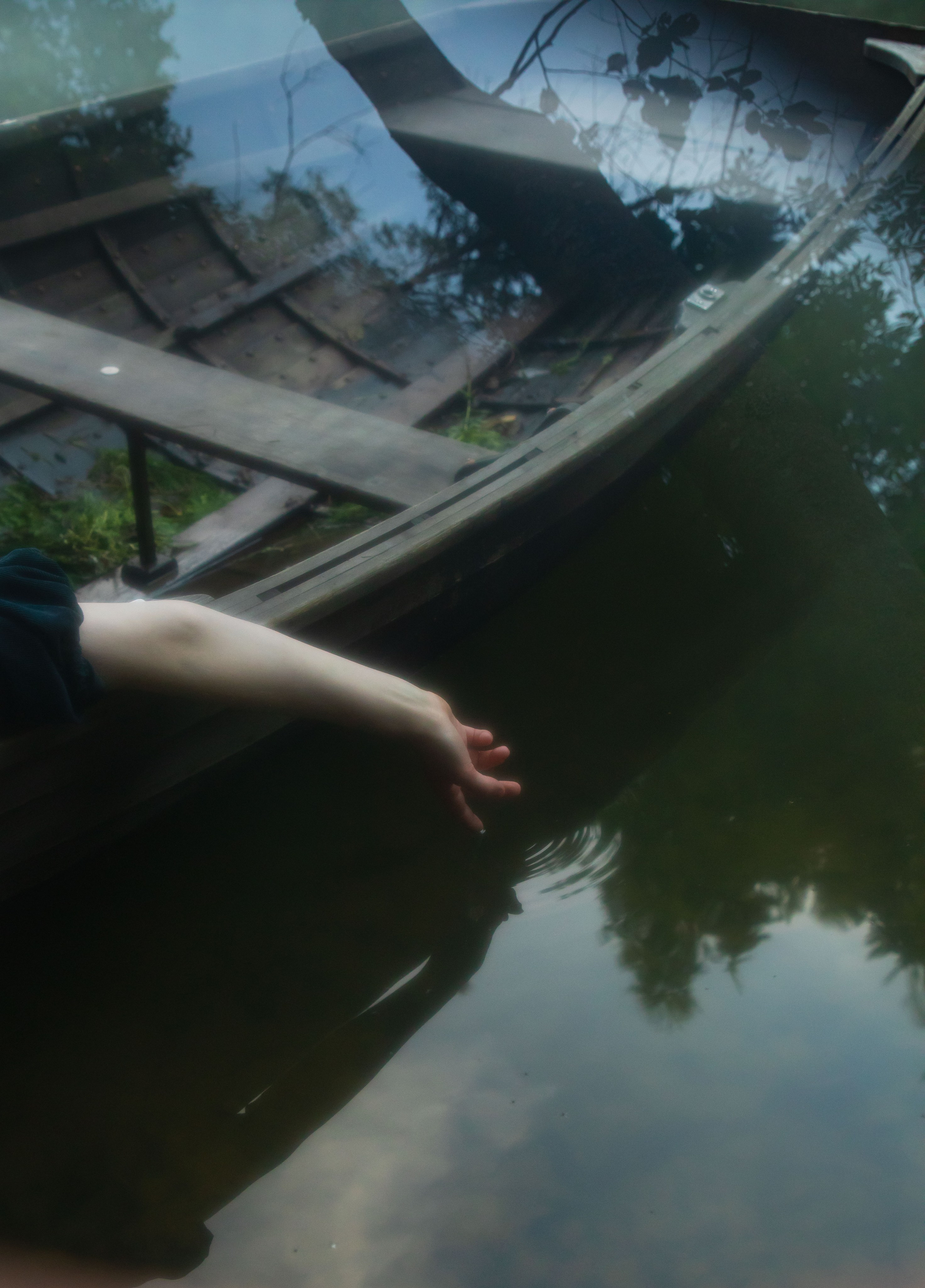 Рассветная в лесу. Юлия Башкатова, сказочный фотограф, Москва